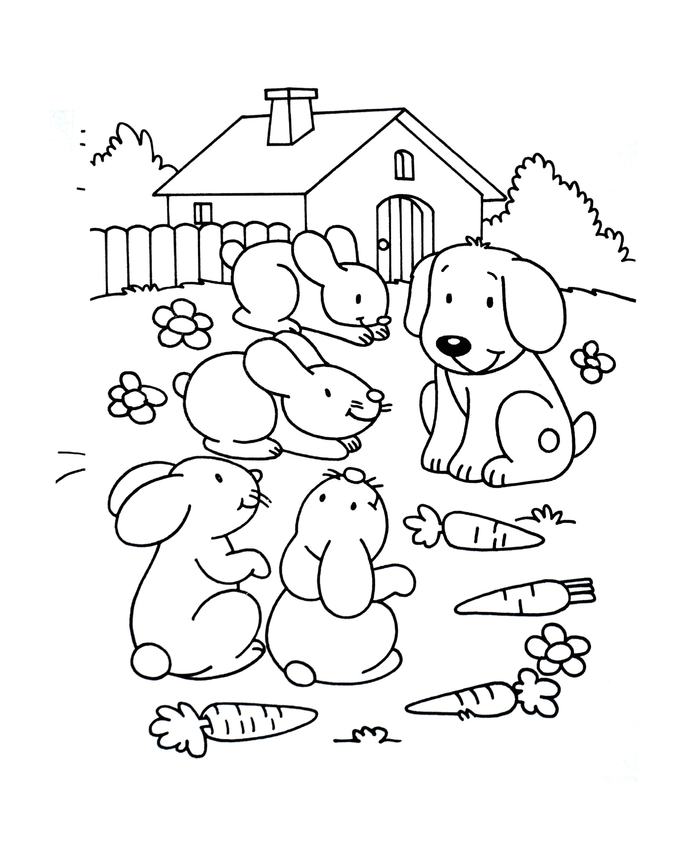 coloriage lapins en compagnie du chien