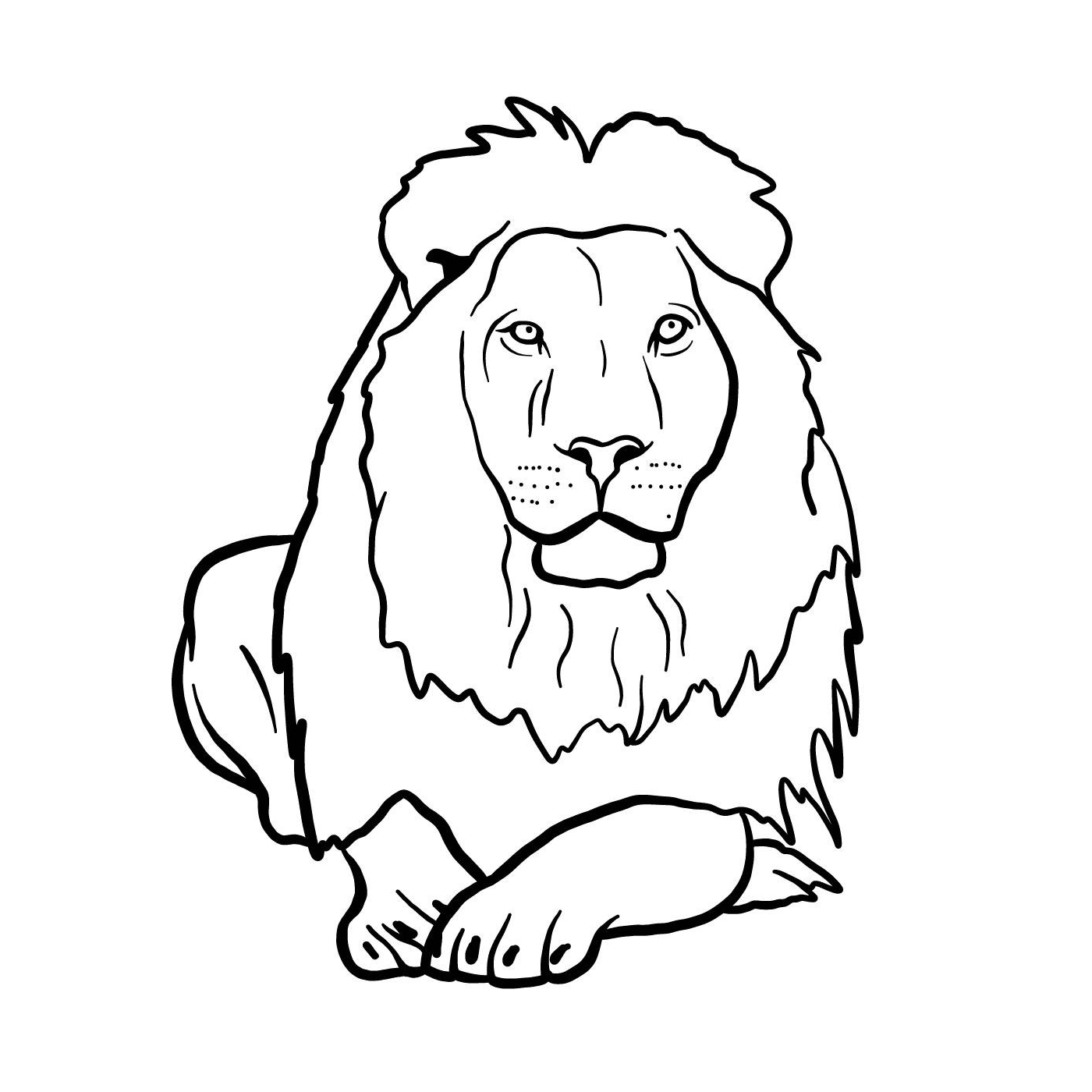 coloriage lionne animal agregaire