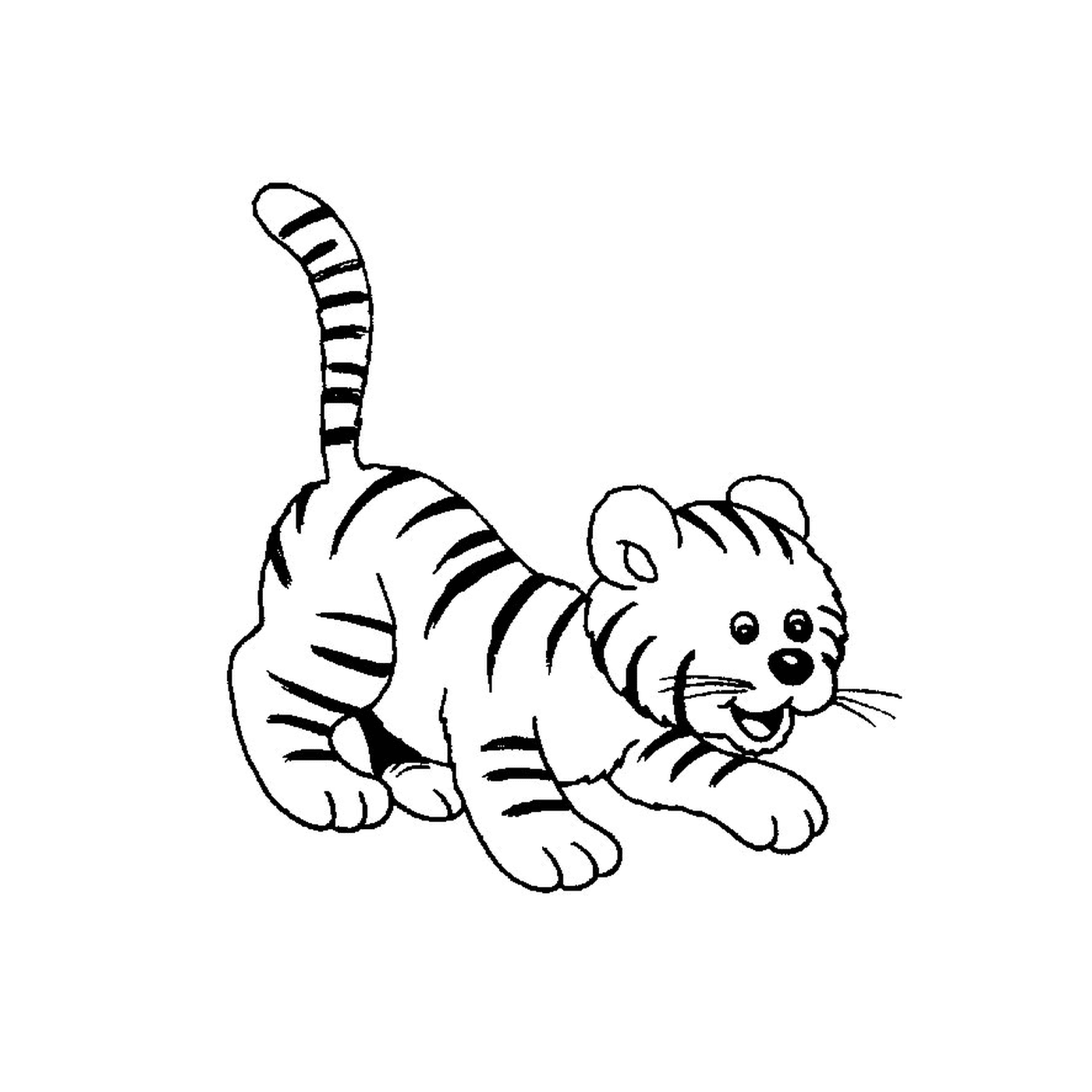 animaux mignon bebe tigre