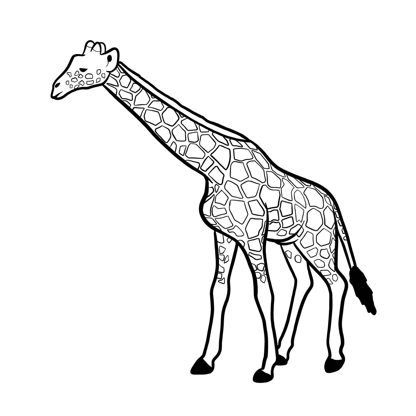 coloriage girafe mammifere de la savane africaine