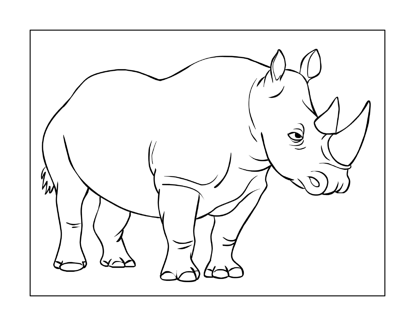 coloriage rhinoceros mammiferes appartenant a la famille des rhinocerotides