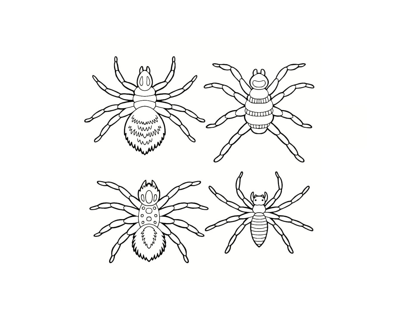 coloriage plusieurs araignees differentes