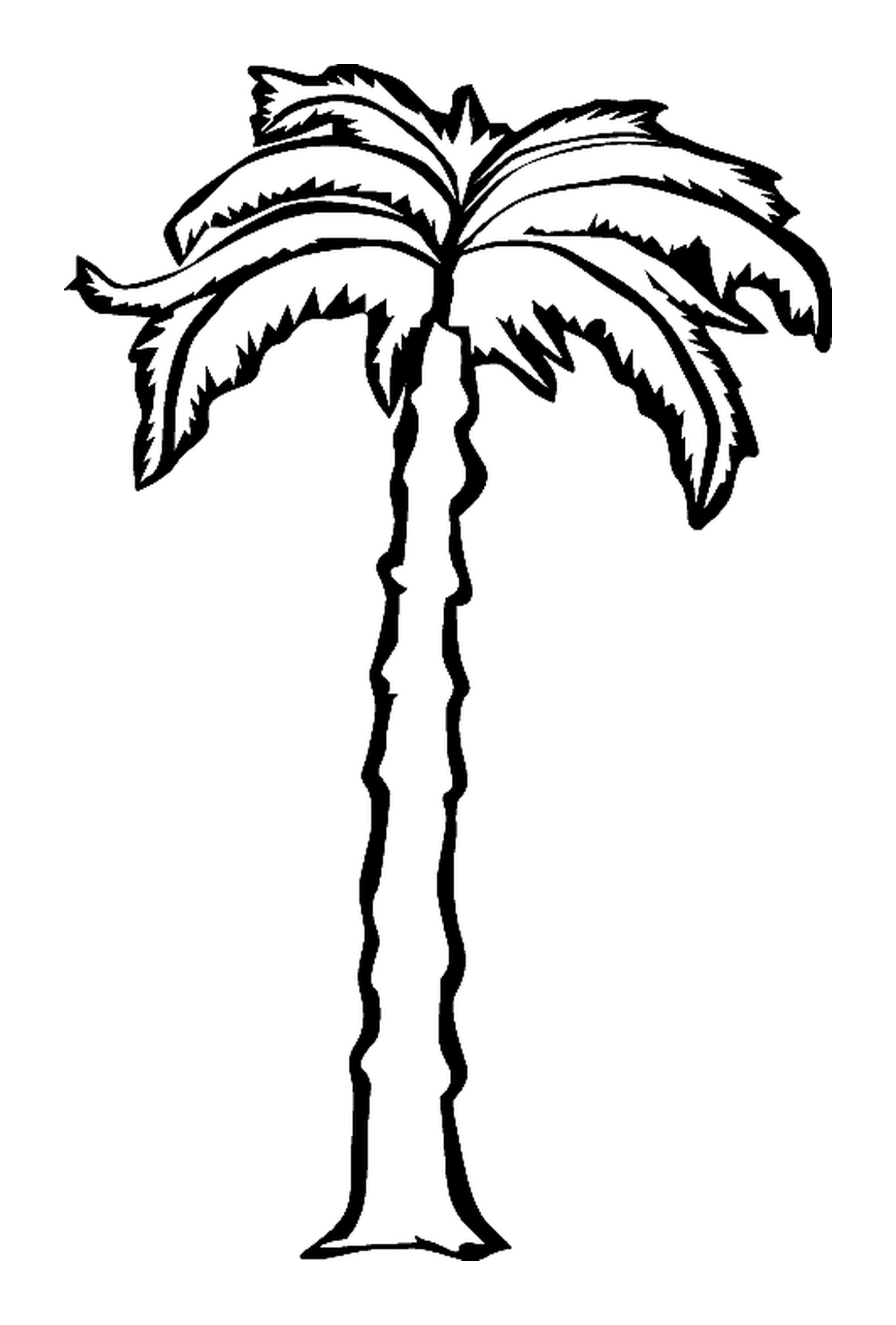 coloriage palmier avec un long tronc