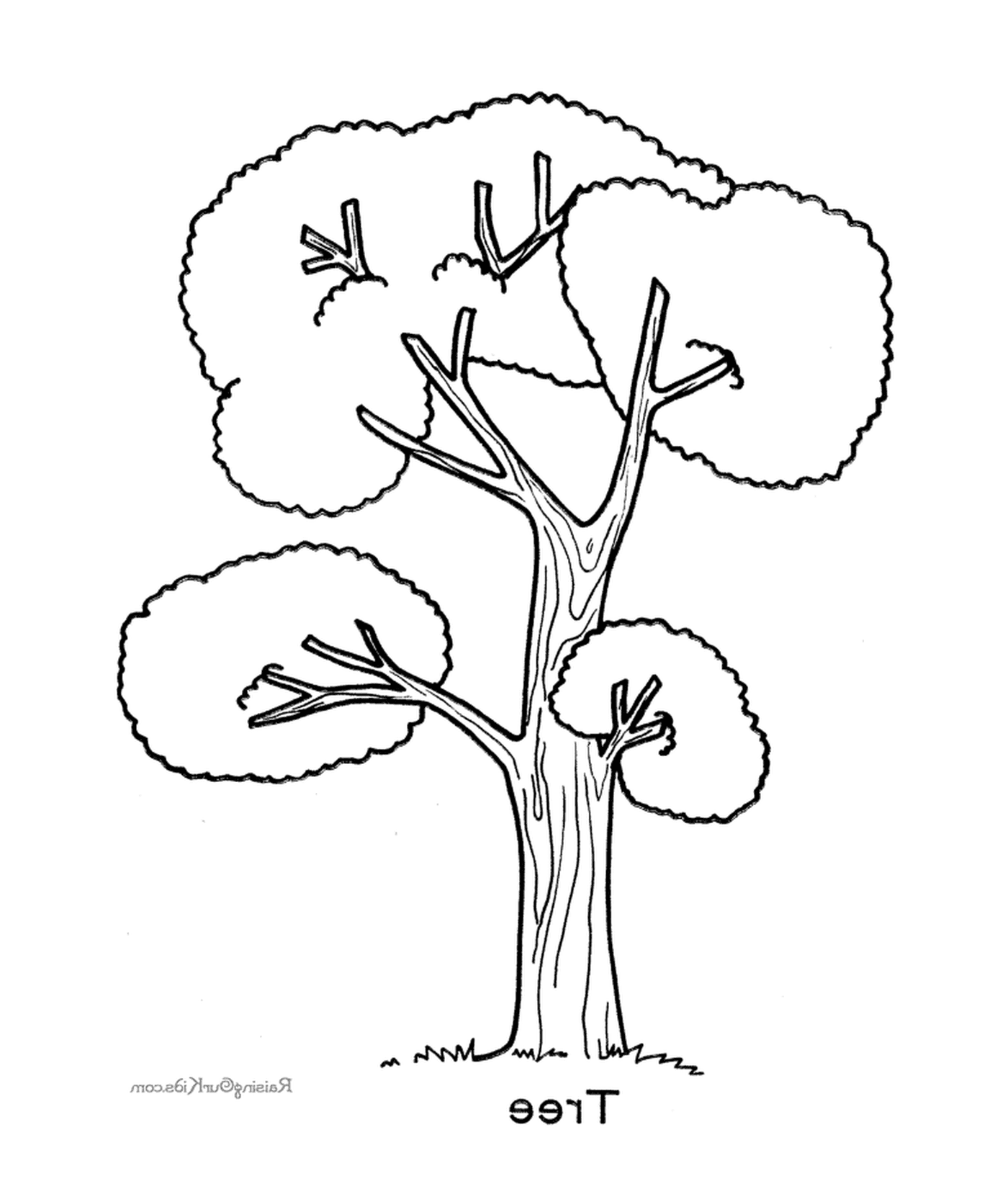 coloriage arbre 113
