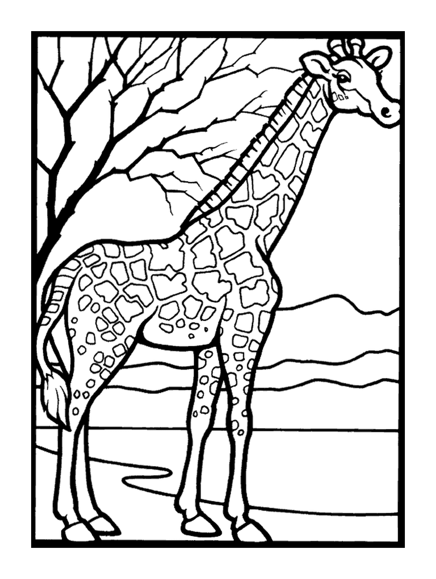 coloriage girafe et arbre