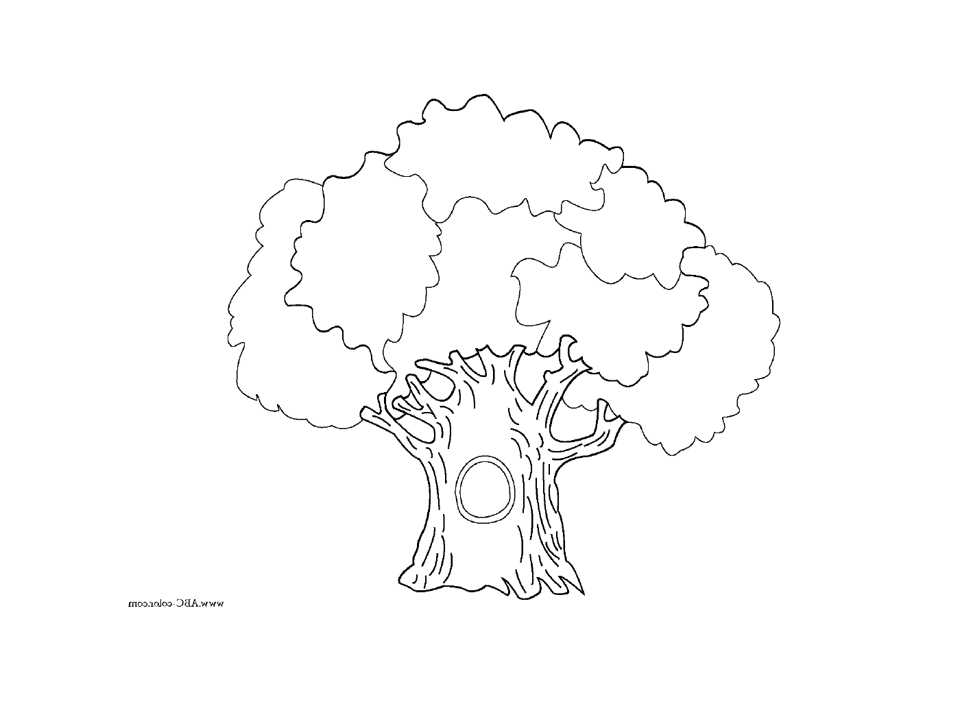 coloriage arbre 99