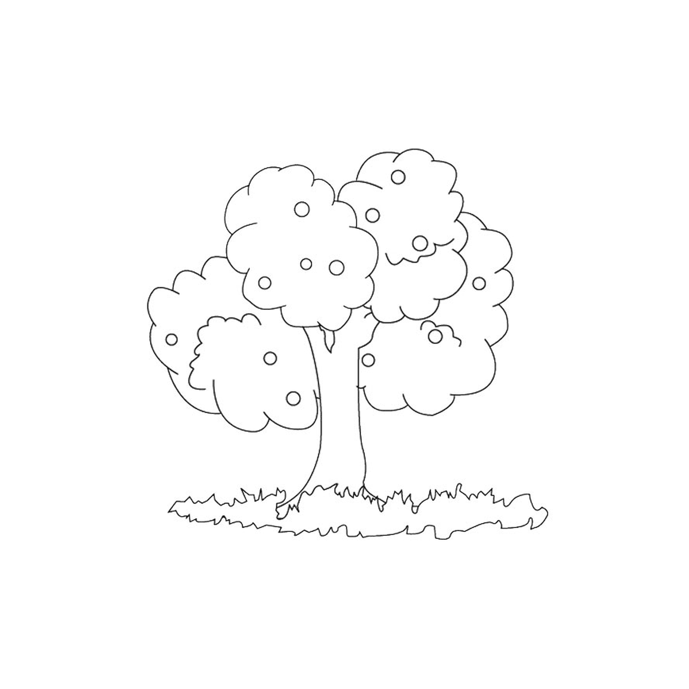 coloriage arbre 172
