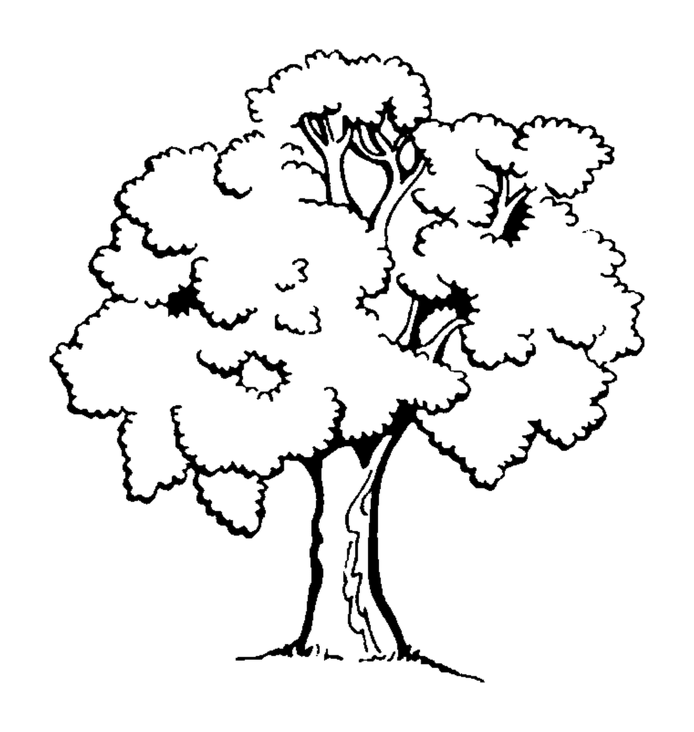 coloriage arbre 29