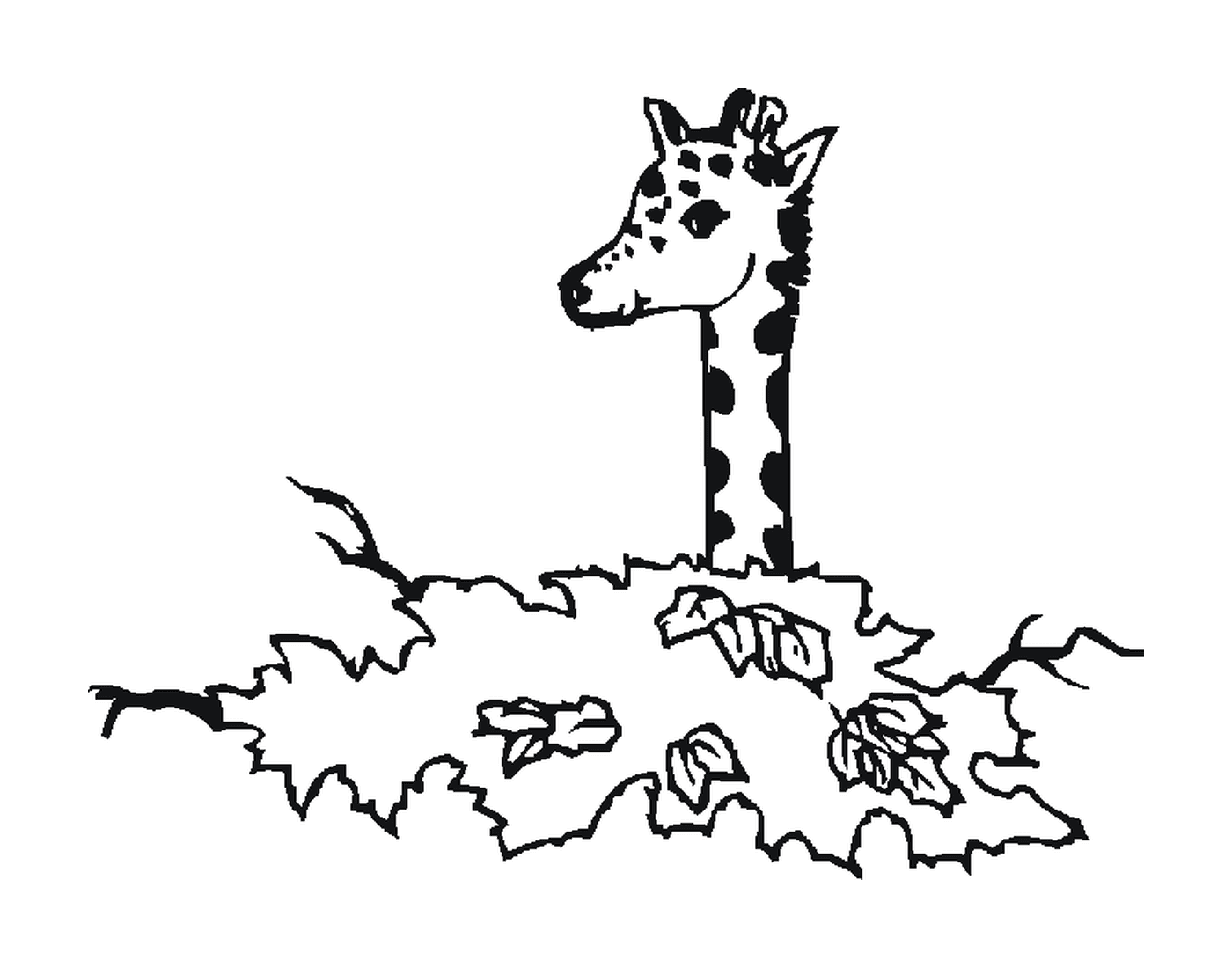 coloriage une tete de girafe plus haute que les arbres