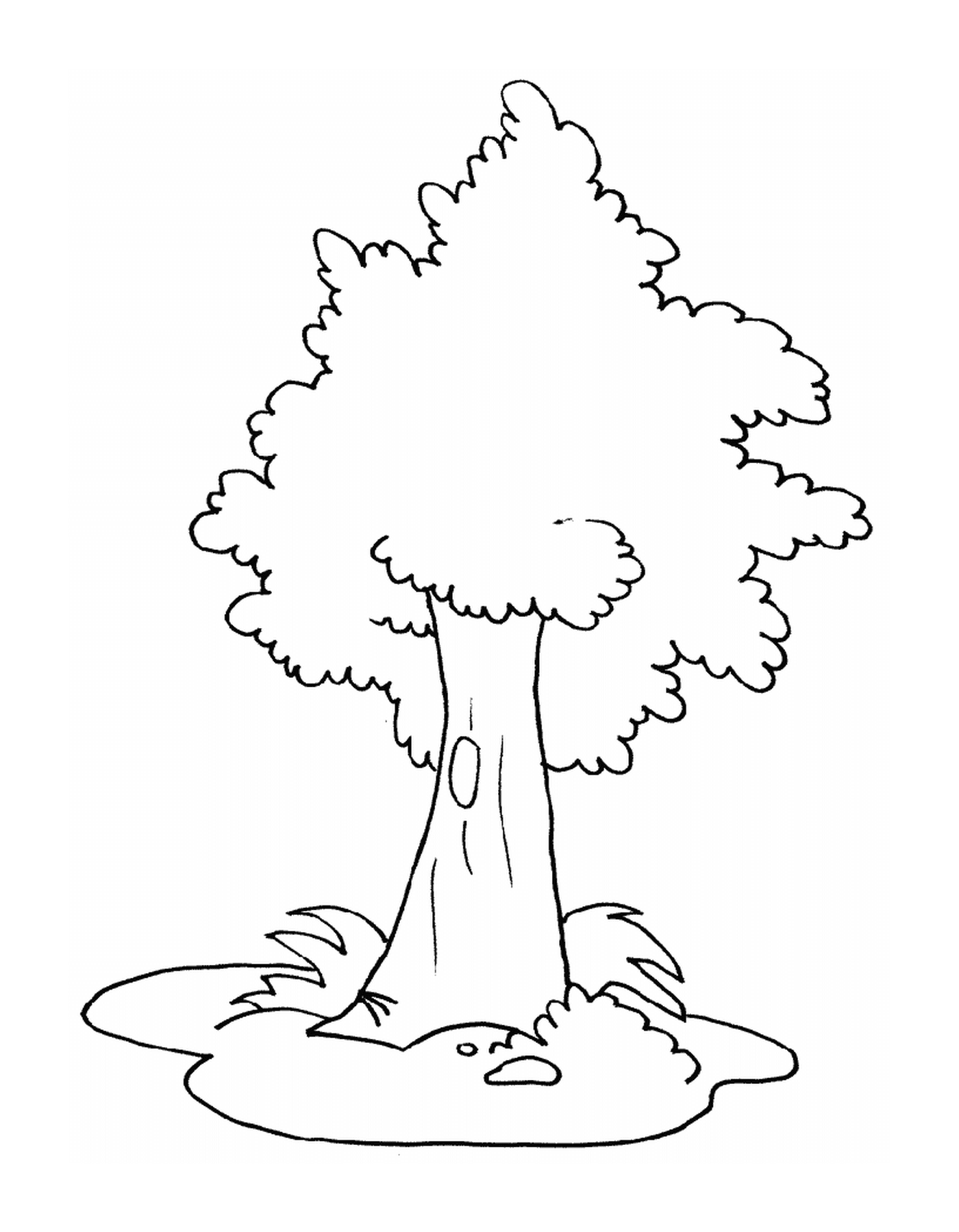 coloriage arbre 11
