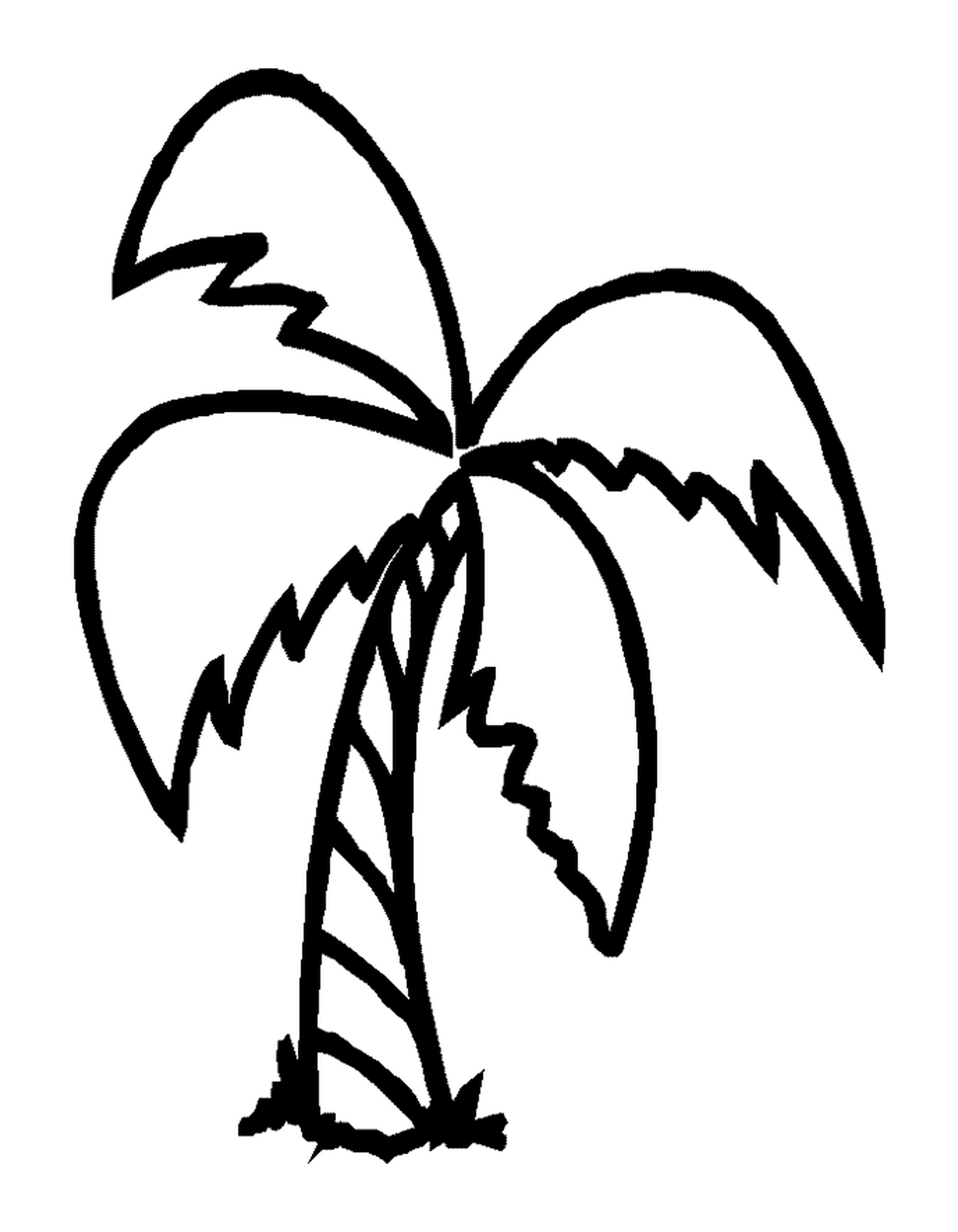 coloriage palmier avec 4 branches