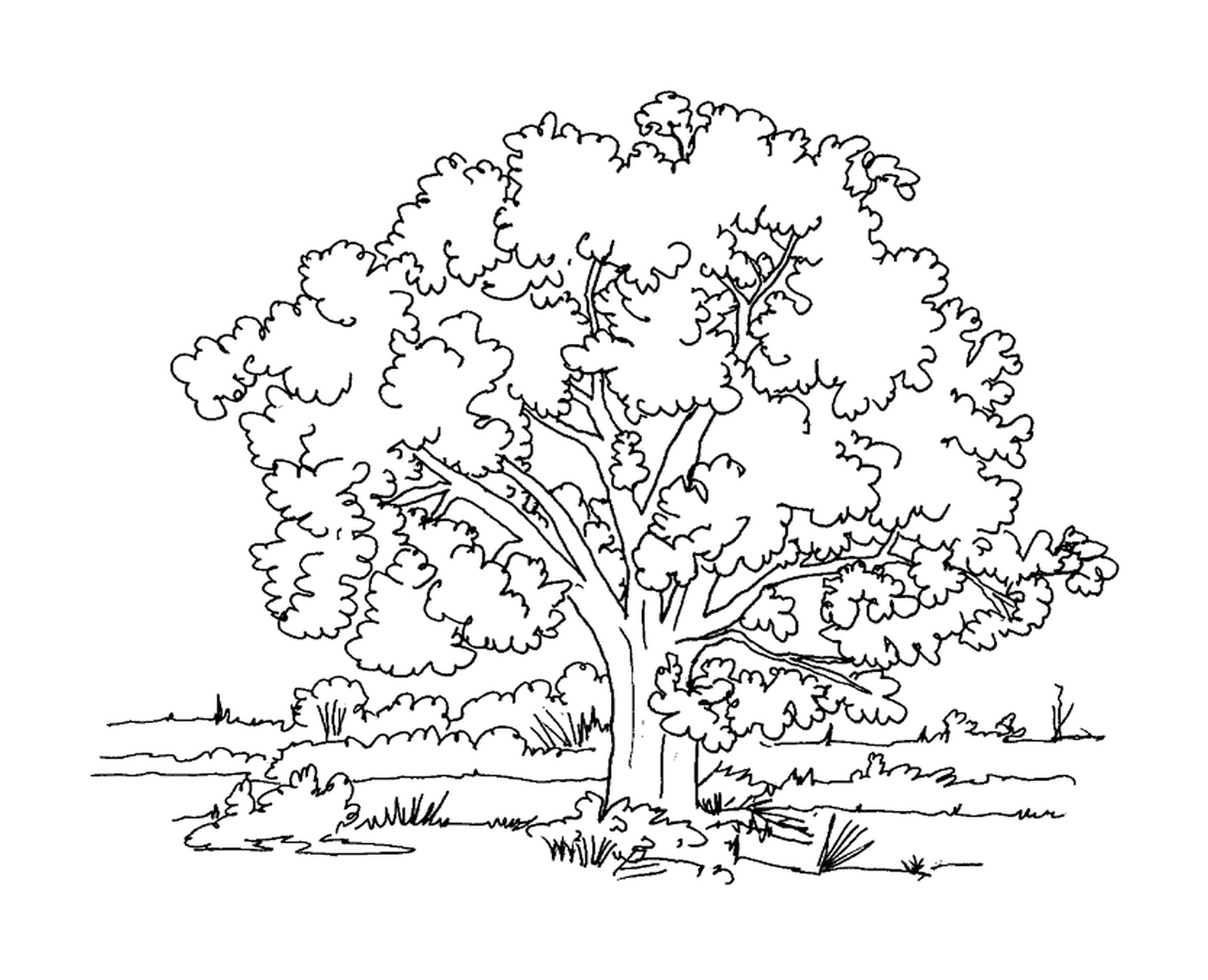coloriage arbre dans une prairie