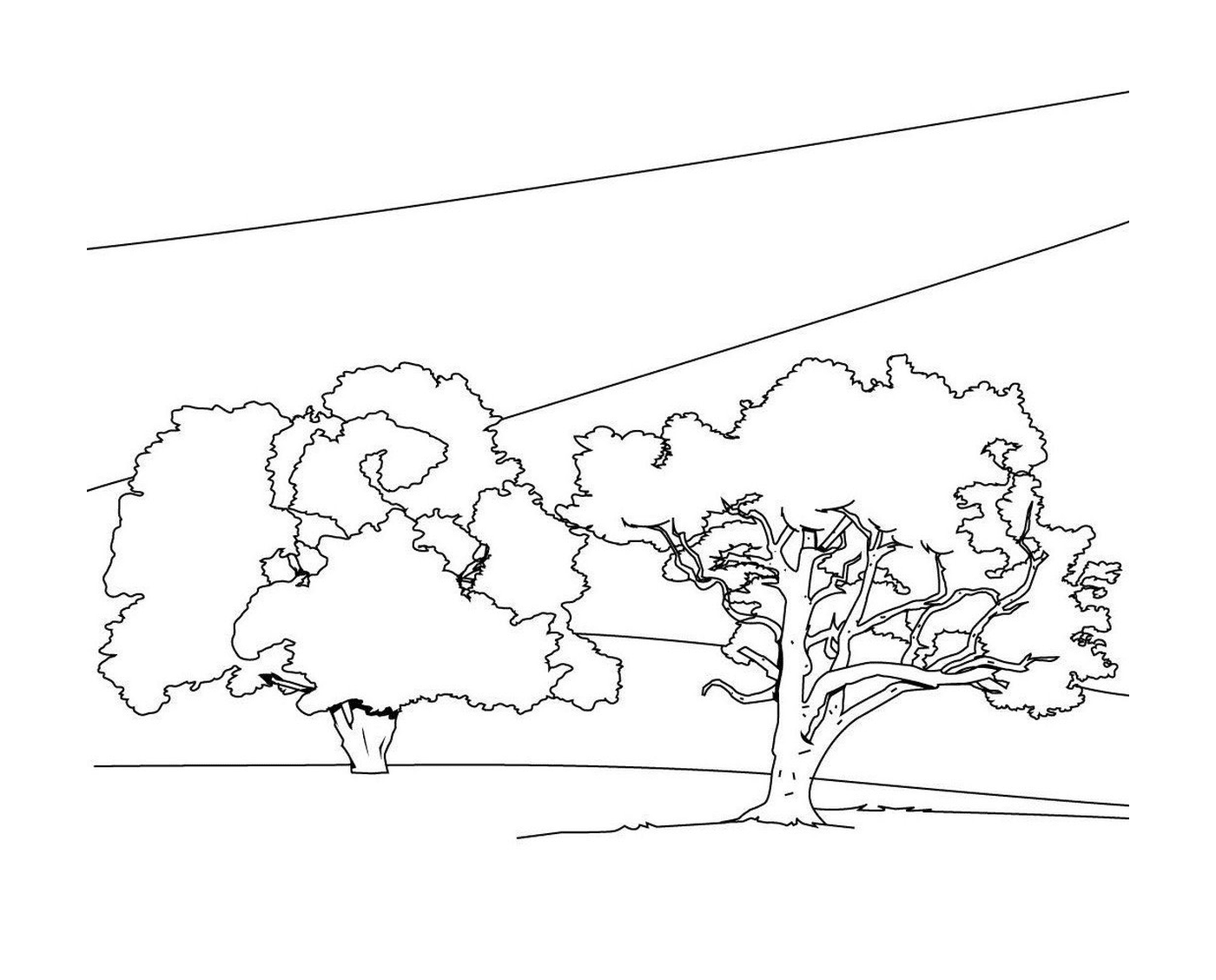 coloriage arbre 114