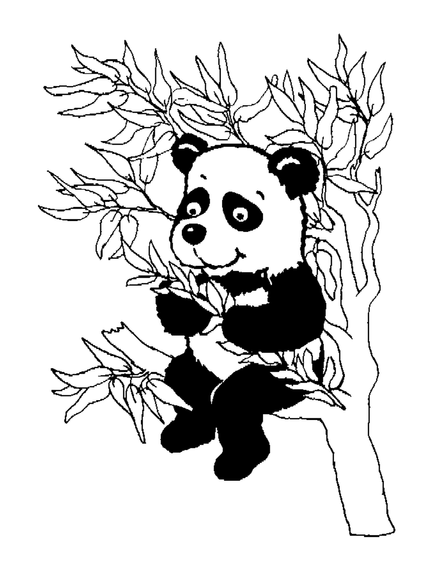 coloriage panda dans un arbre