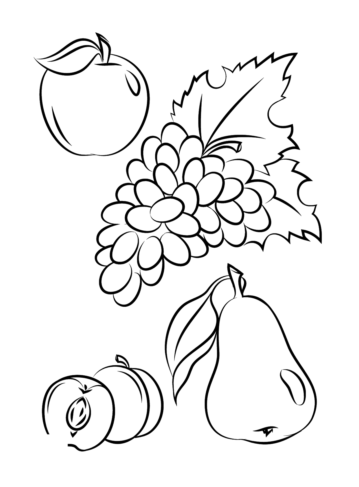 coloriage automne fruits fall