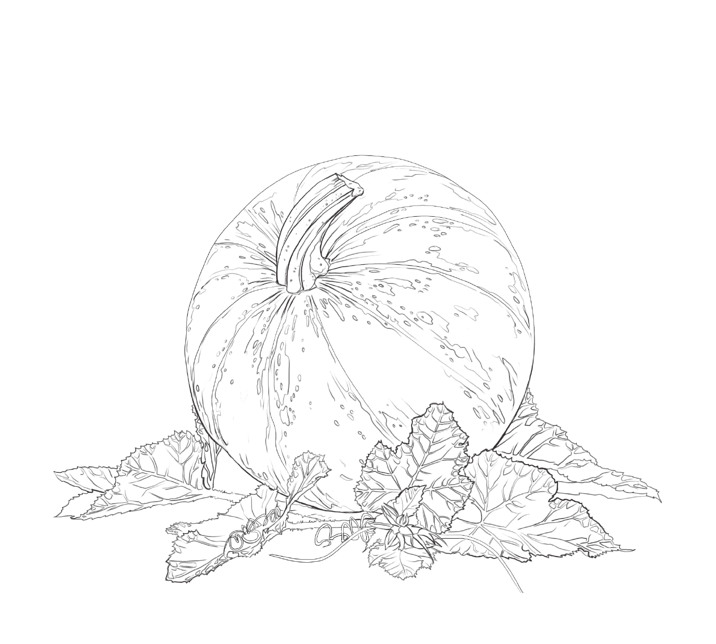 coloriage pumpkin and feuilles automne
