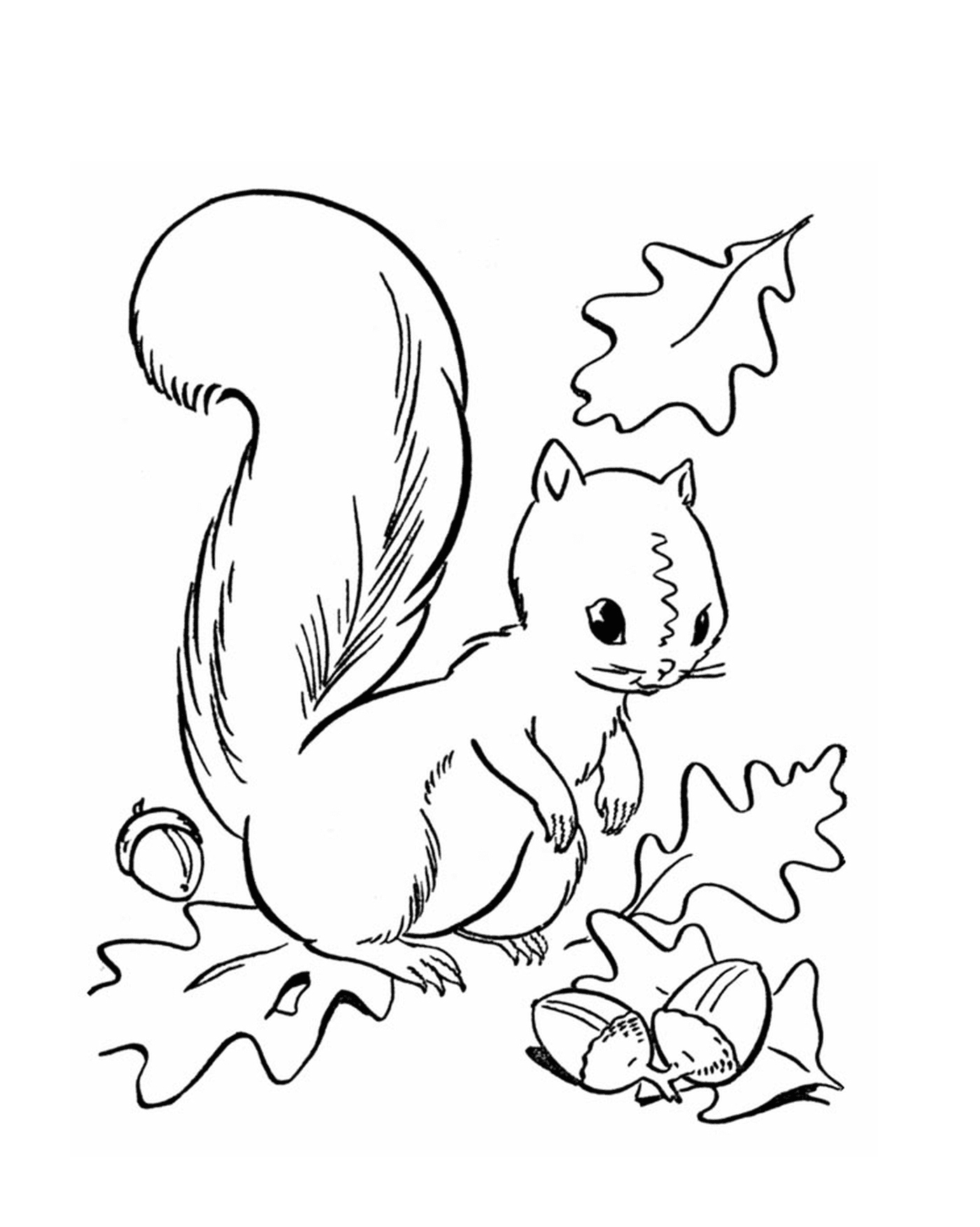 coloriage ecureuil automne