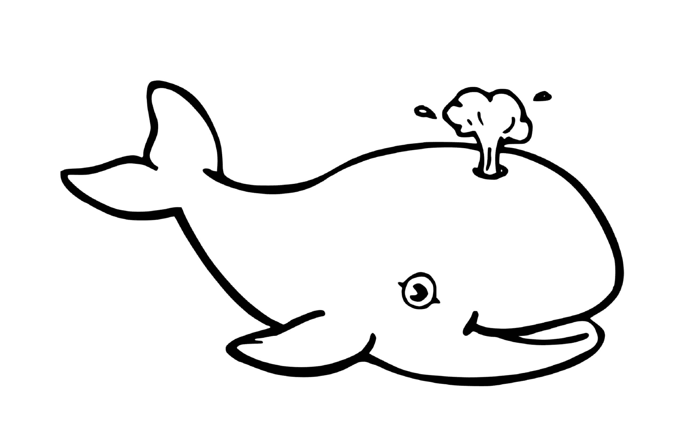 baleine simple pour enfants