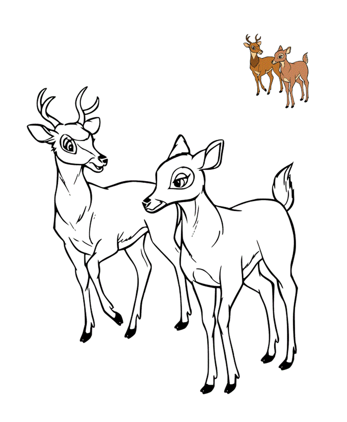coloriage feline et bambi adulte