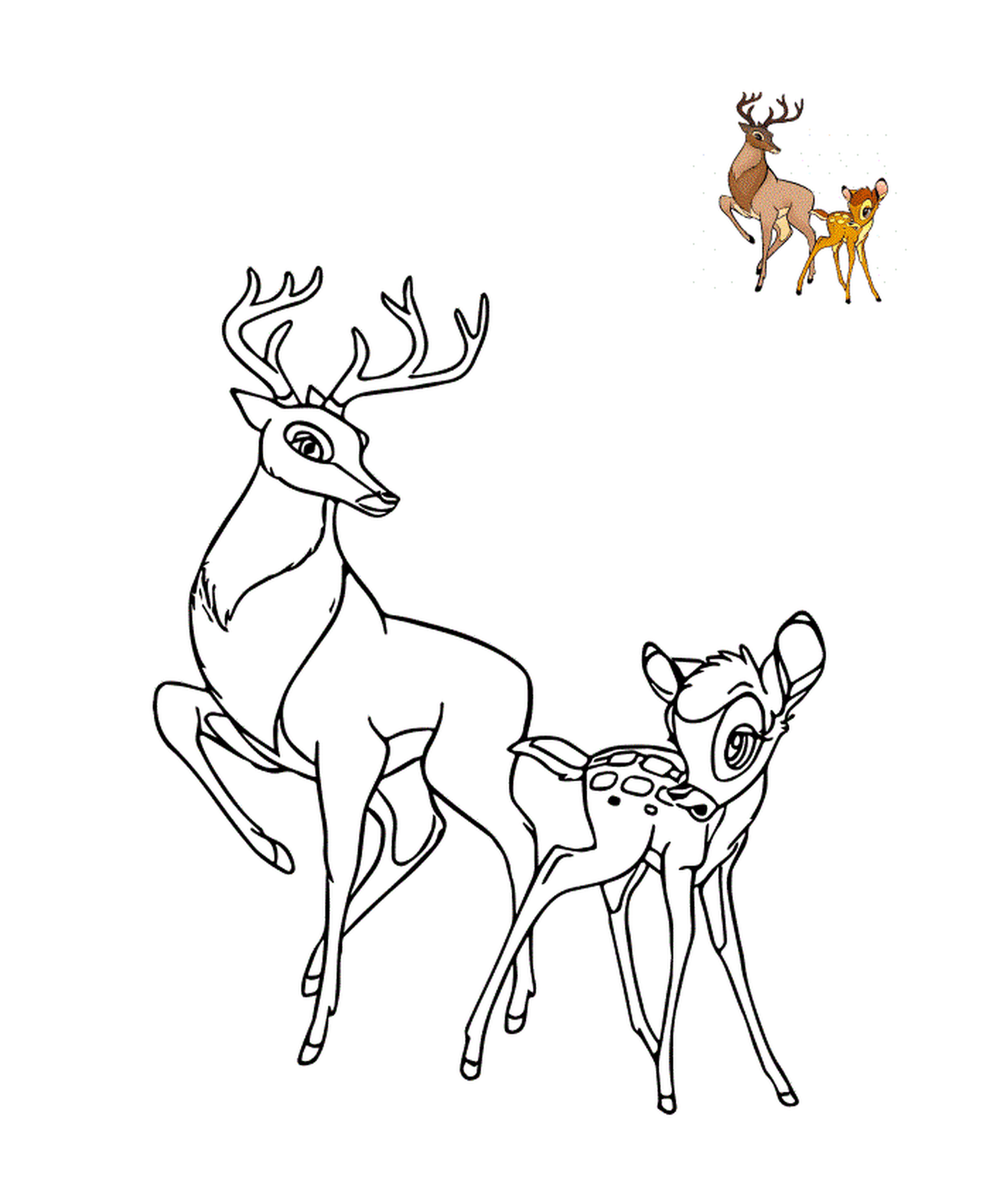 coloriage bambi et le grand prince de la foret