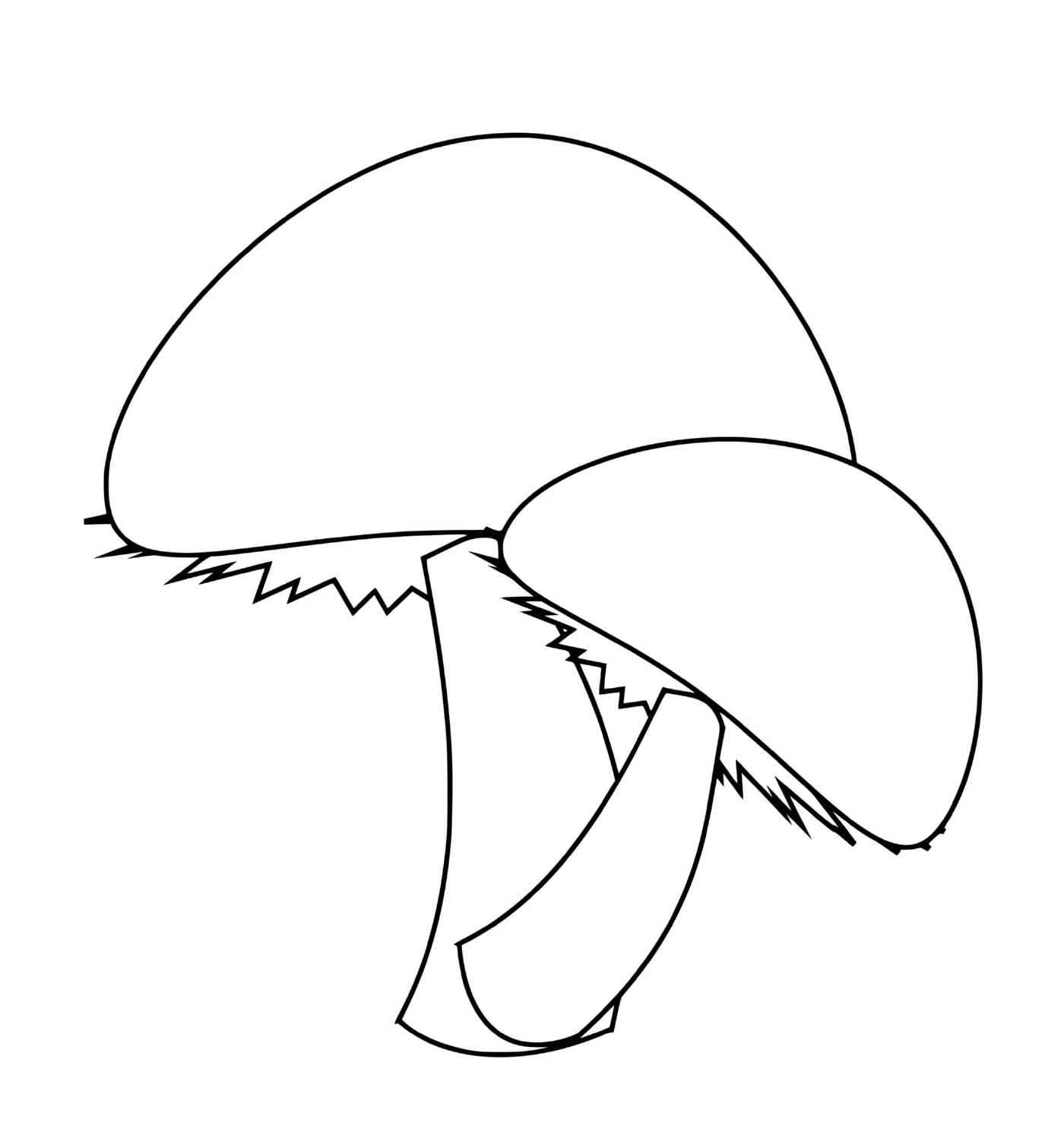 coloriage deux champignons simples