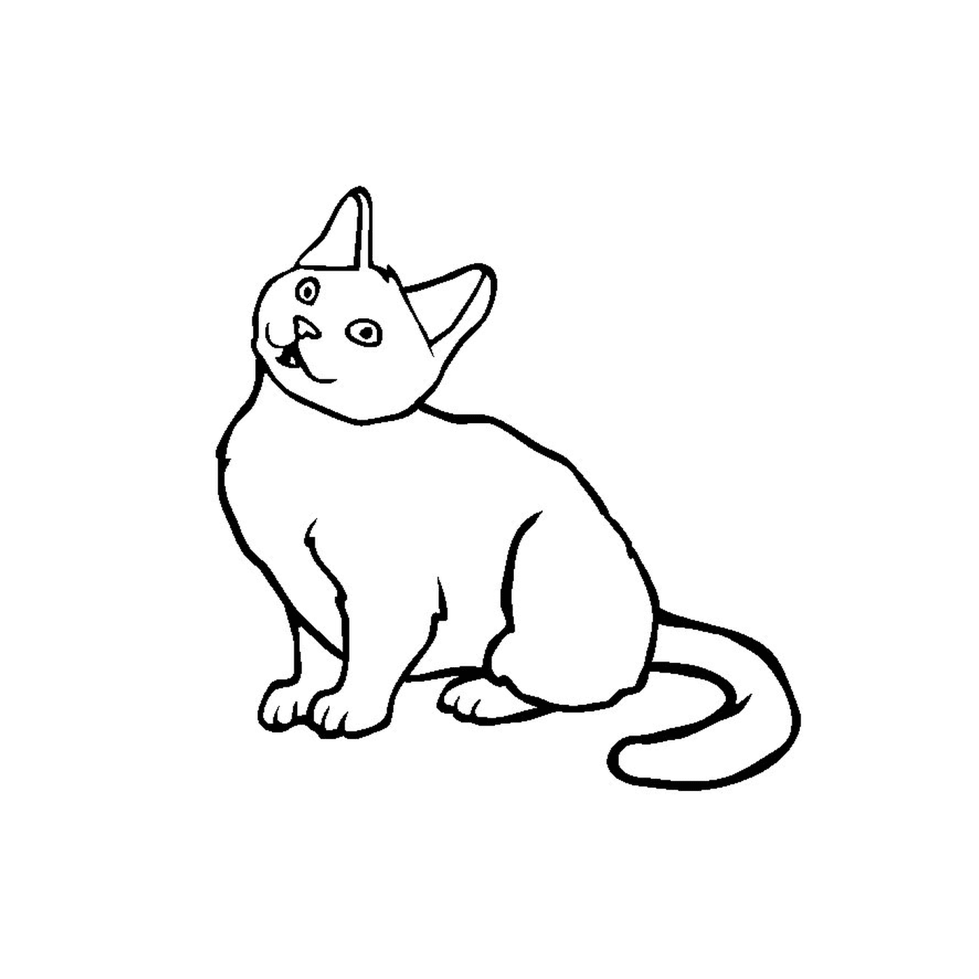coloriage chaton chartreux