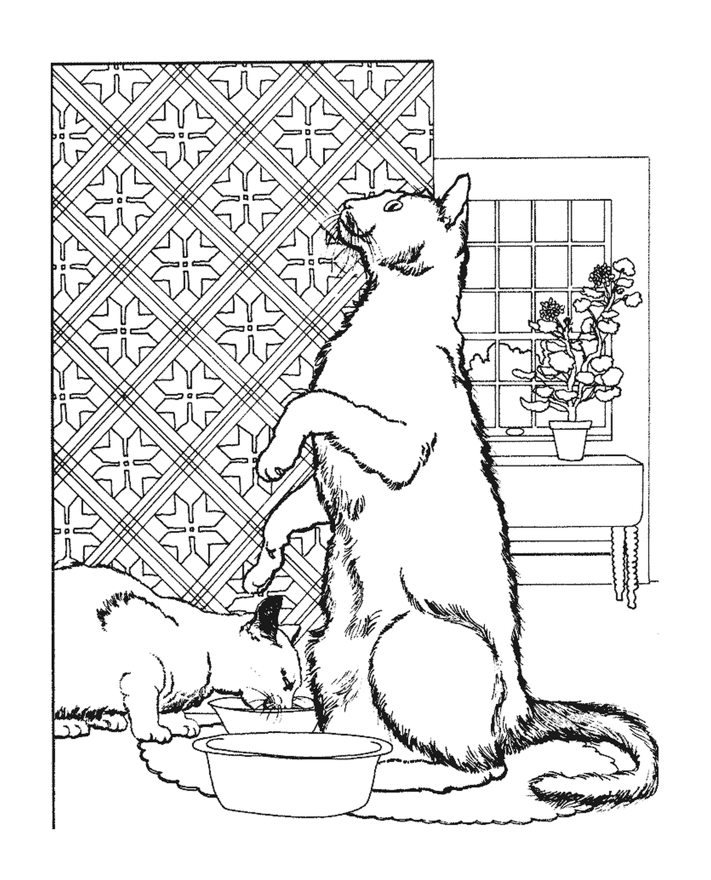 coloriage Deux chats qui mangent leur repas