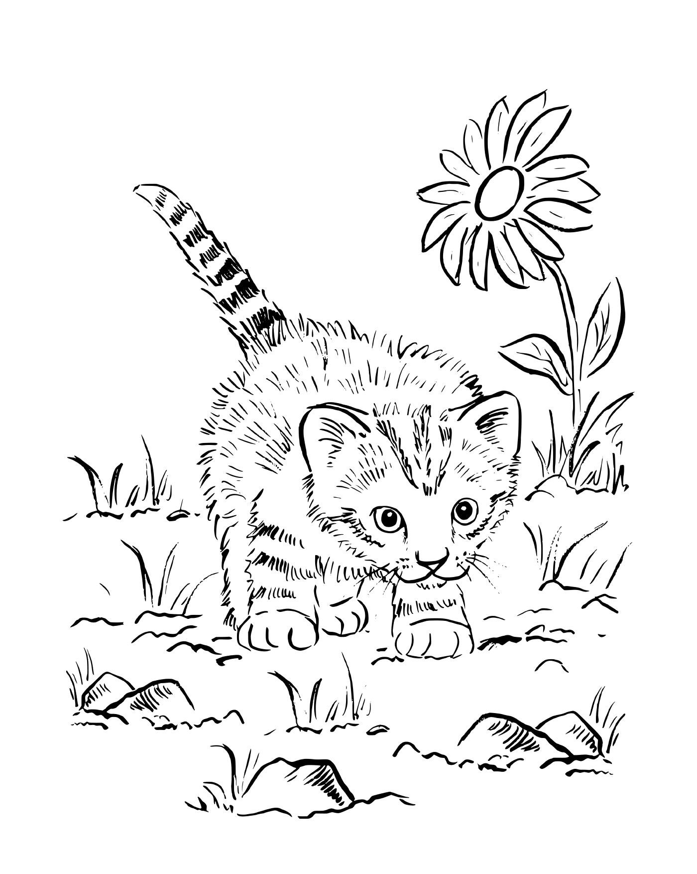 coloriage chaton super mignon jouant au jardin