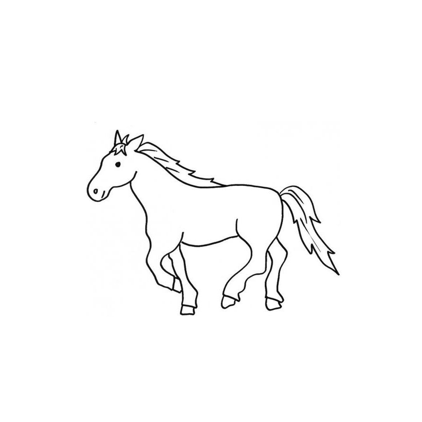 coloriage cheval arabe