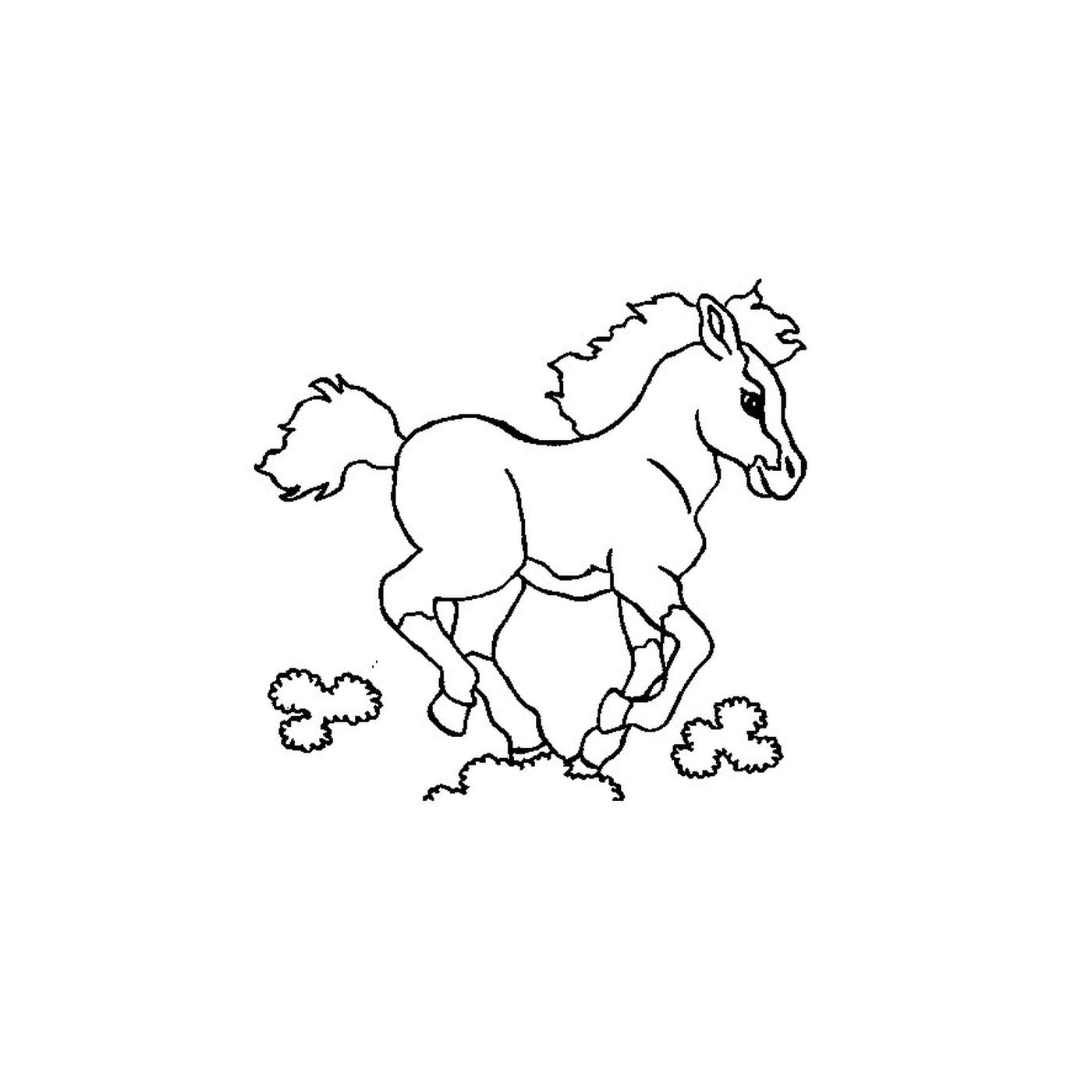 coloriage cheval poulain