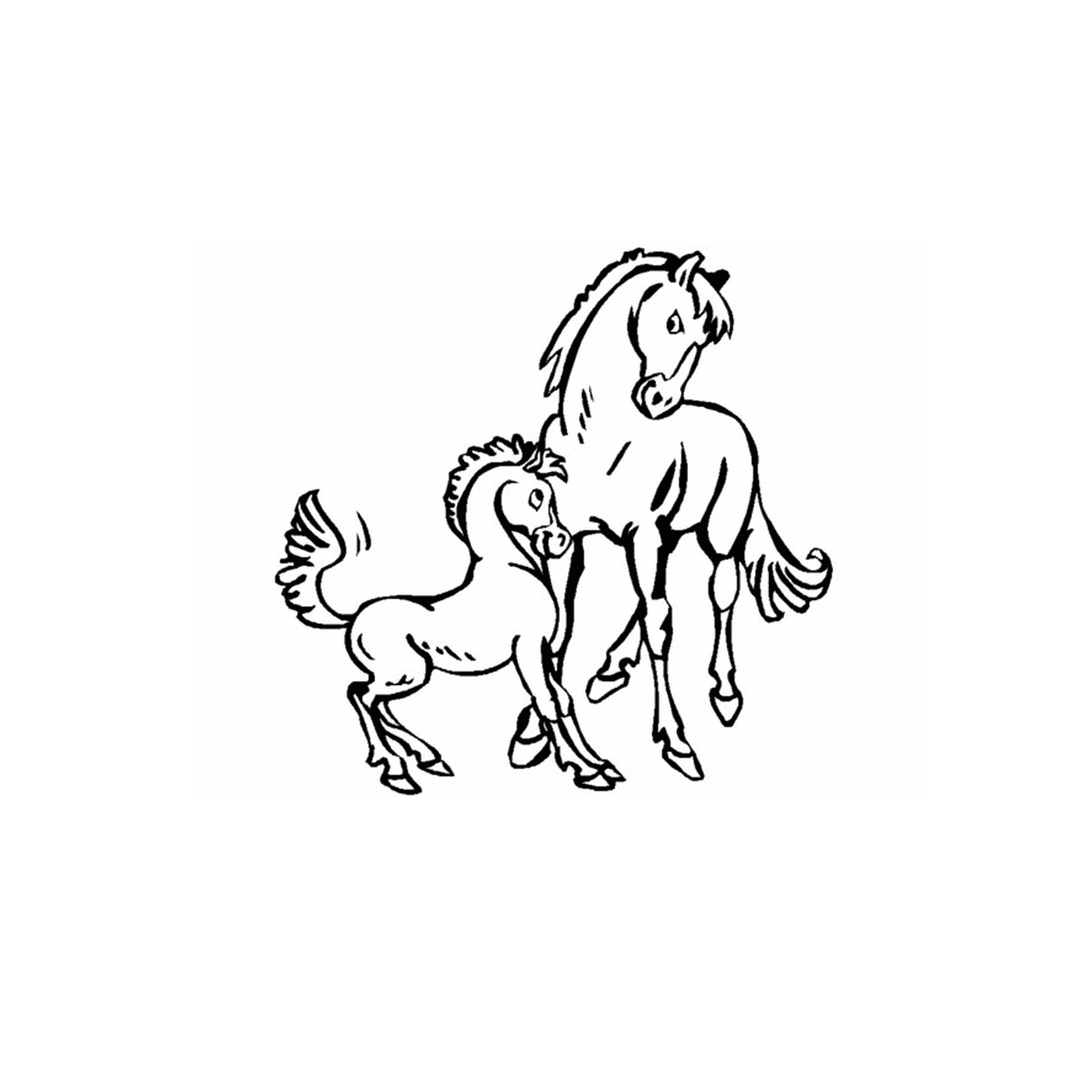coloriage chevaux et poulain