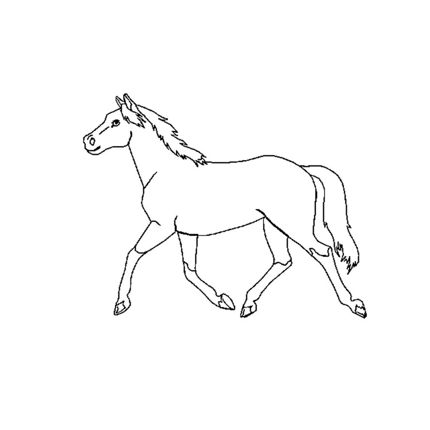 coloriage tv cheval