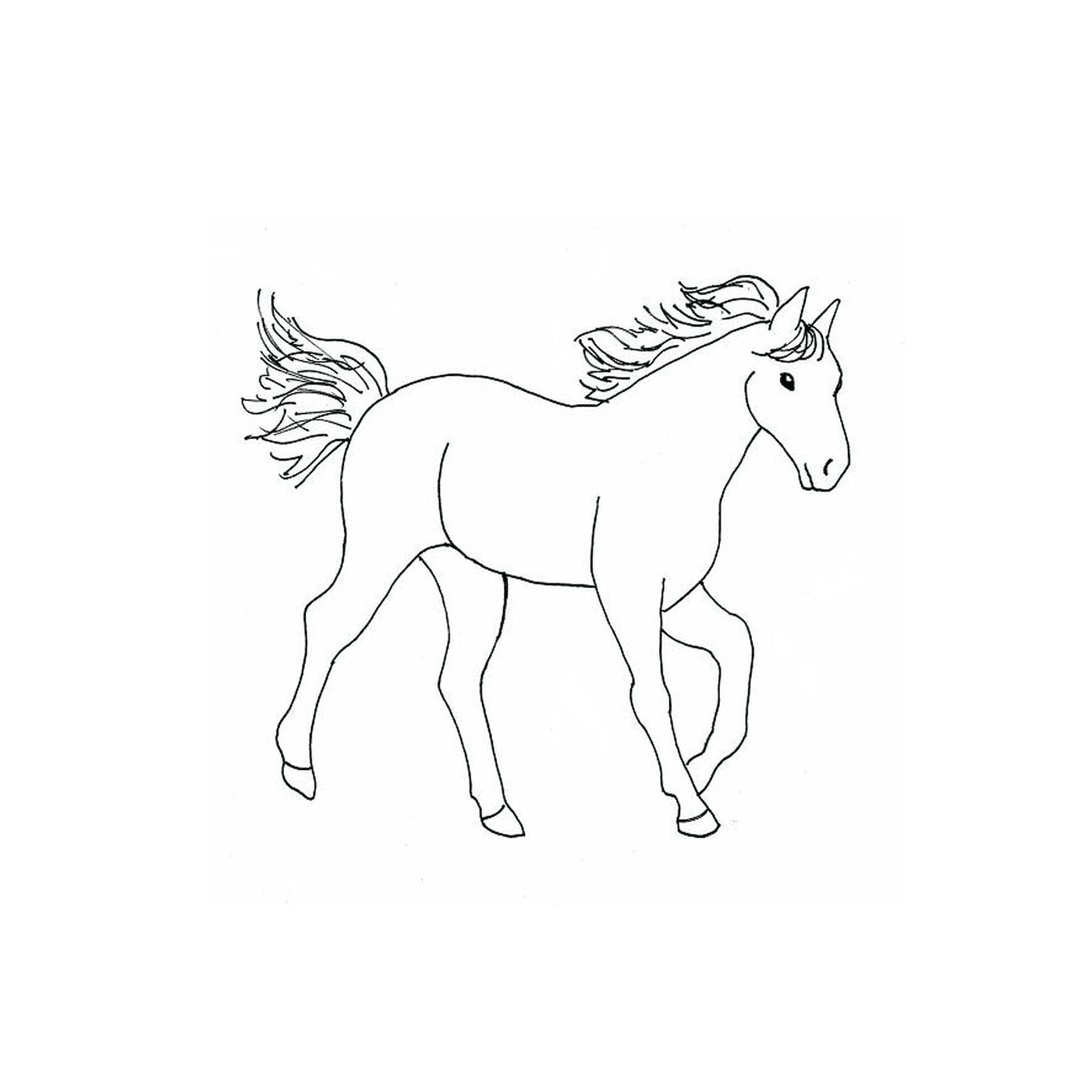 coloriage cheval western