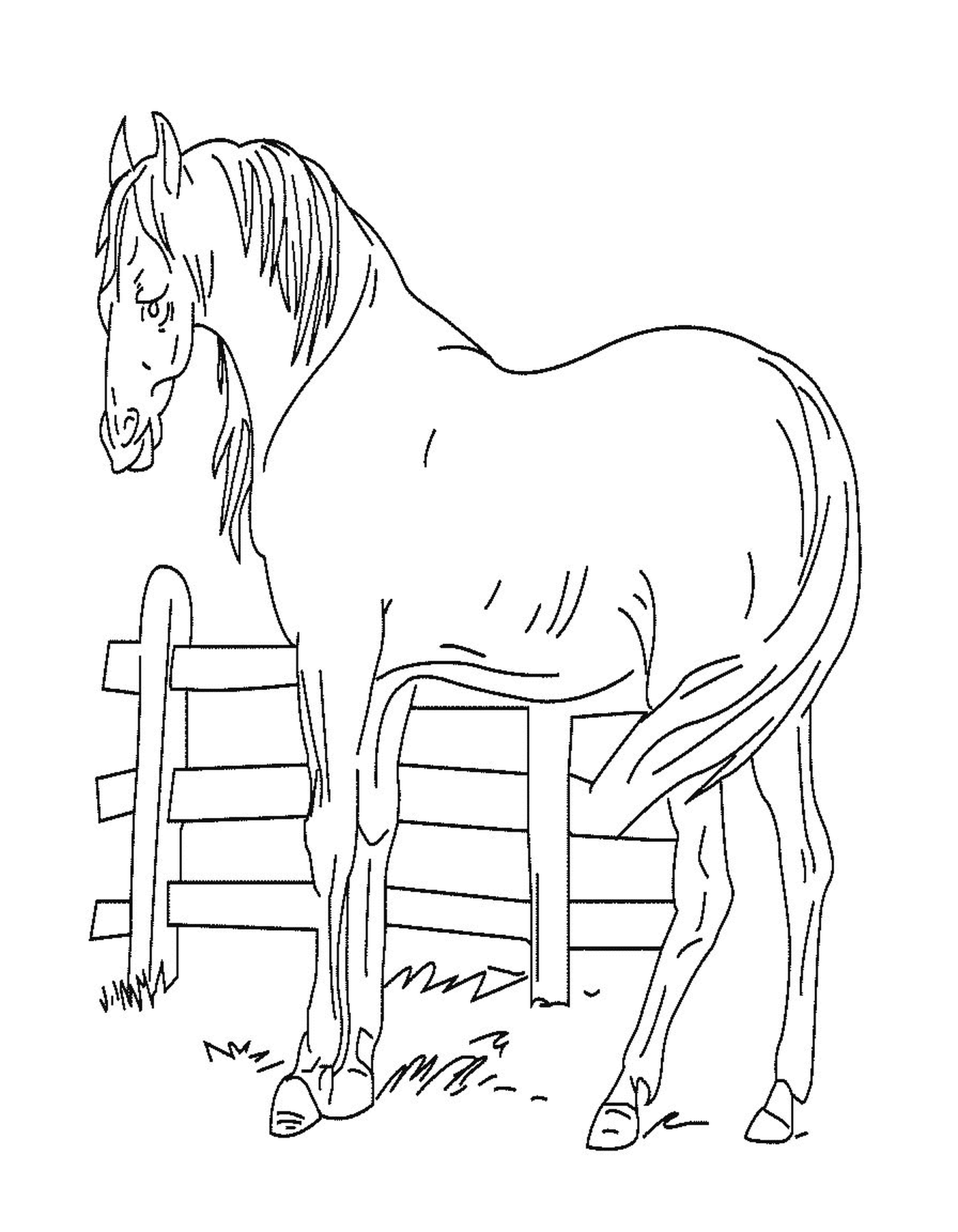 coloriage cheval et barriere