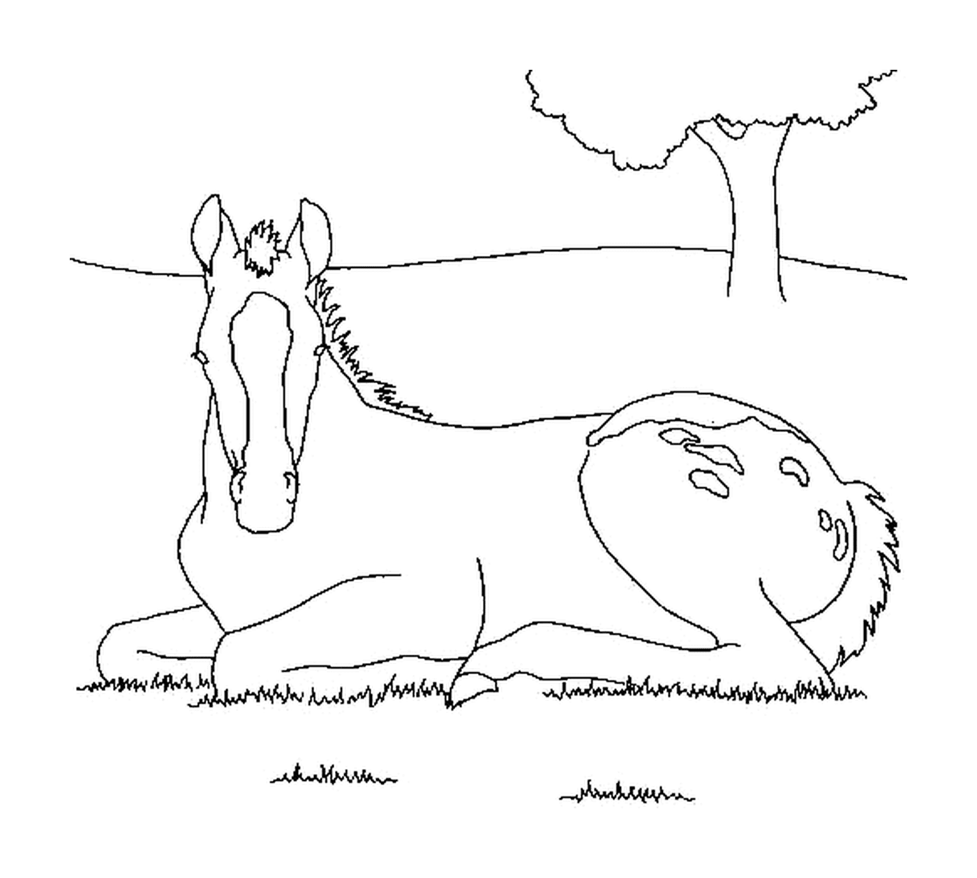 coloriage cheval assis dans l herbe
