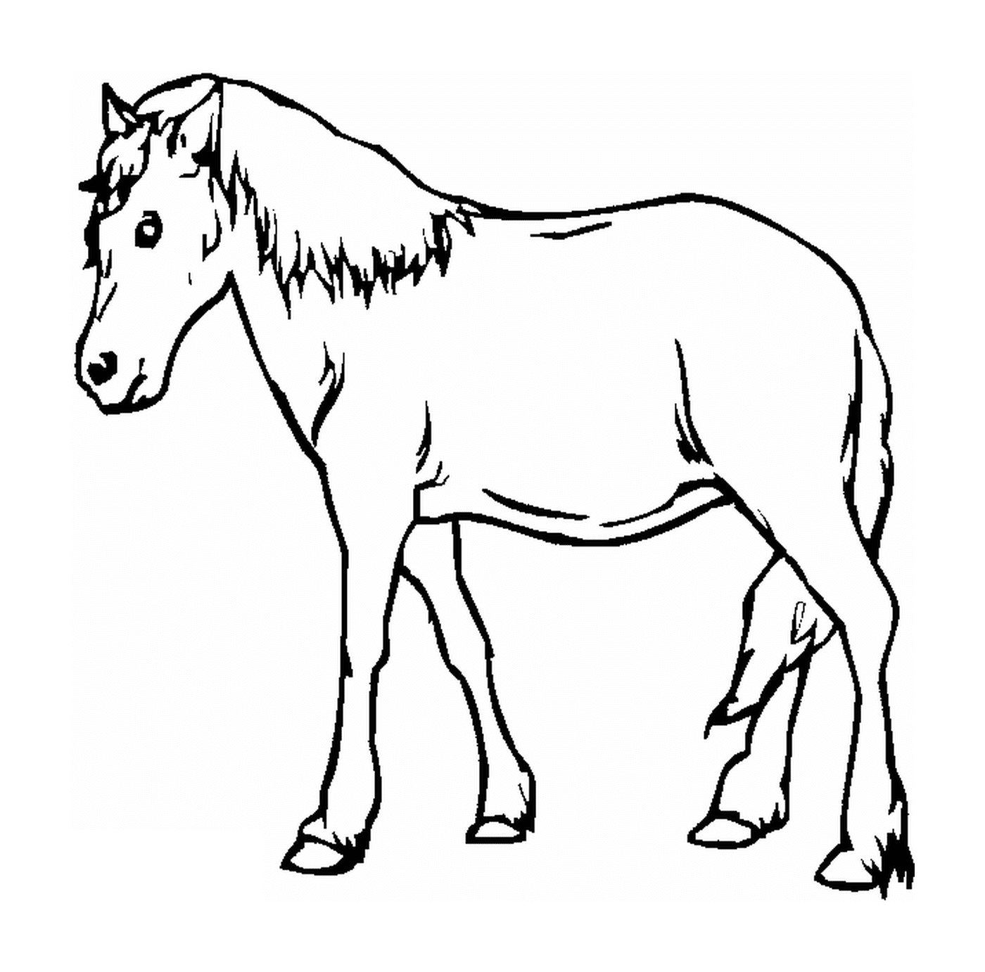 coloriage coloriage de cheval
