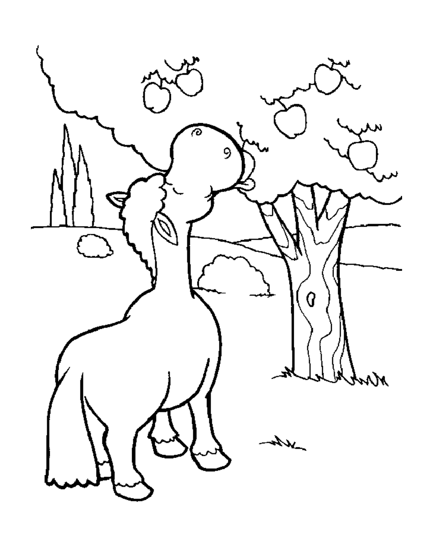 coloriage cheval qui mange des pommes