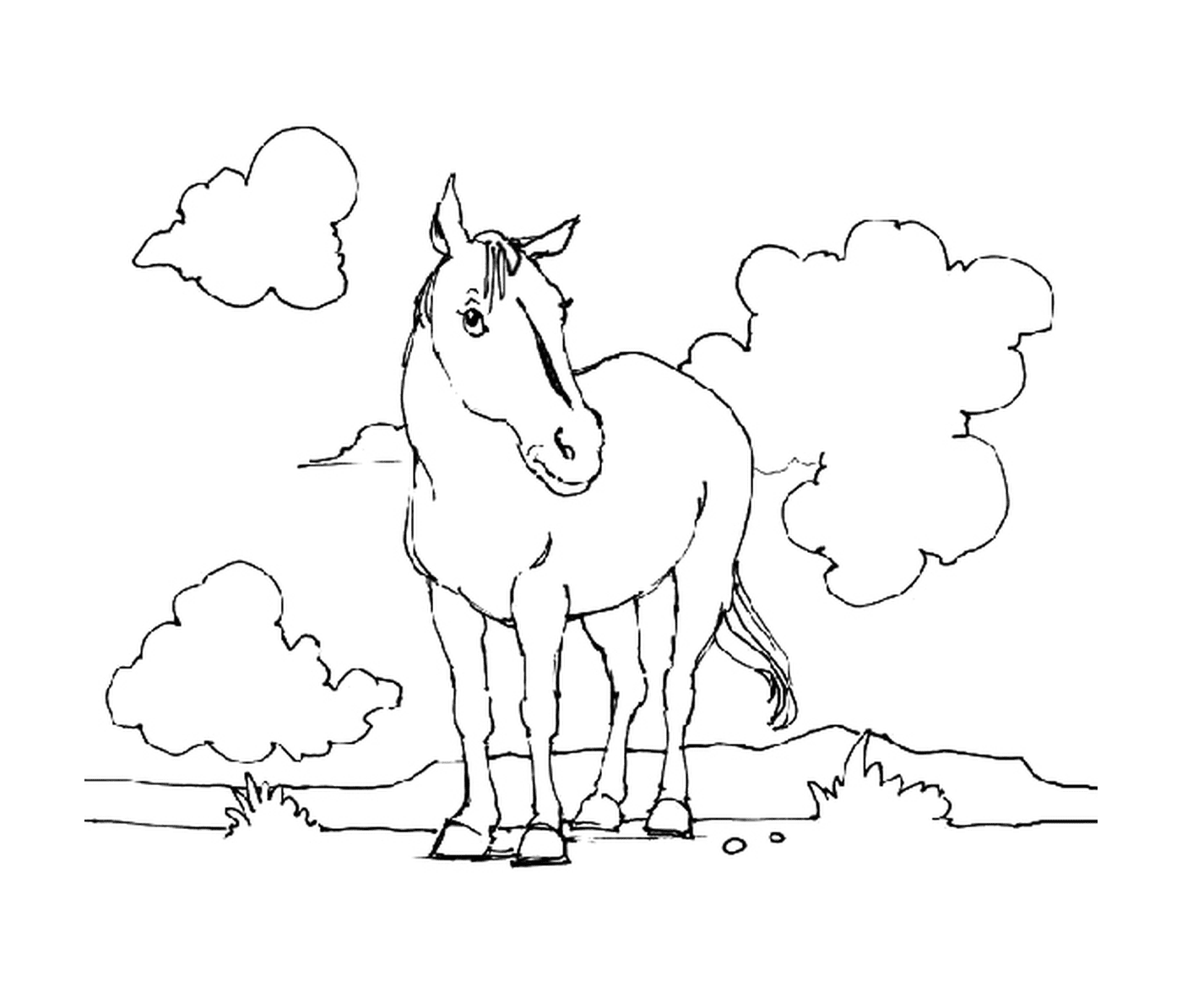 coloriage cheval avec des nuages derriere lui