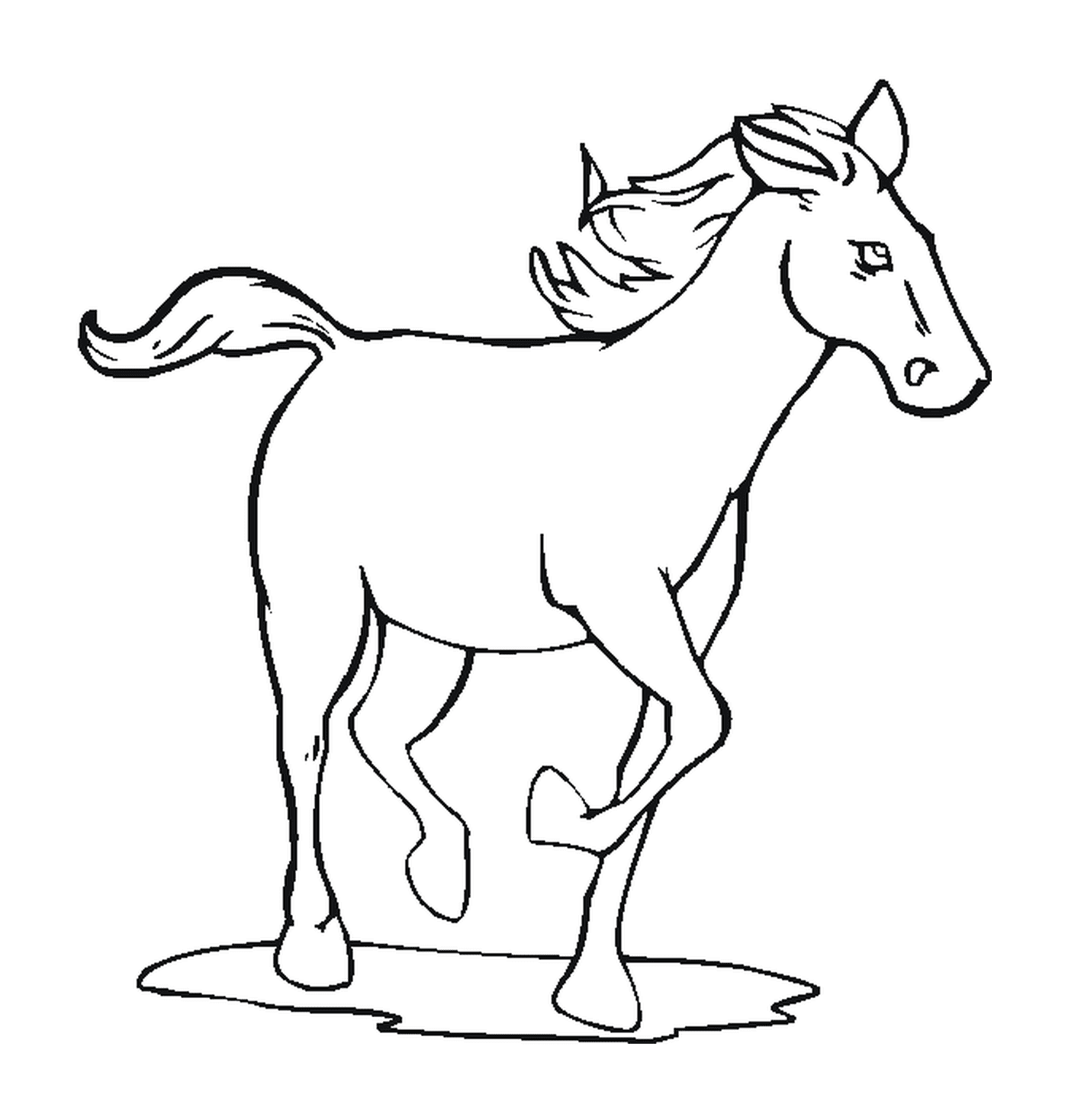 coloriage un cheval au galop