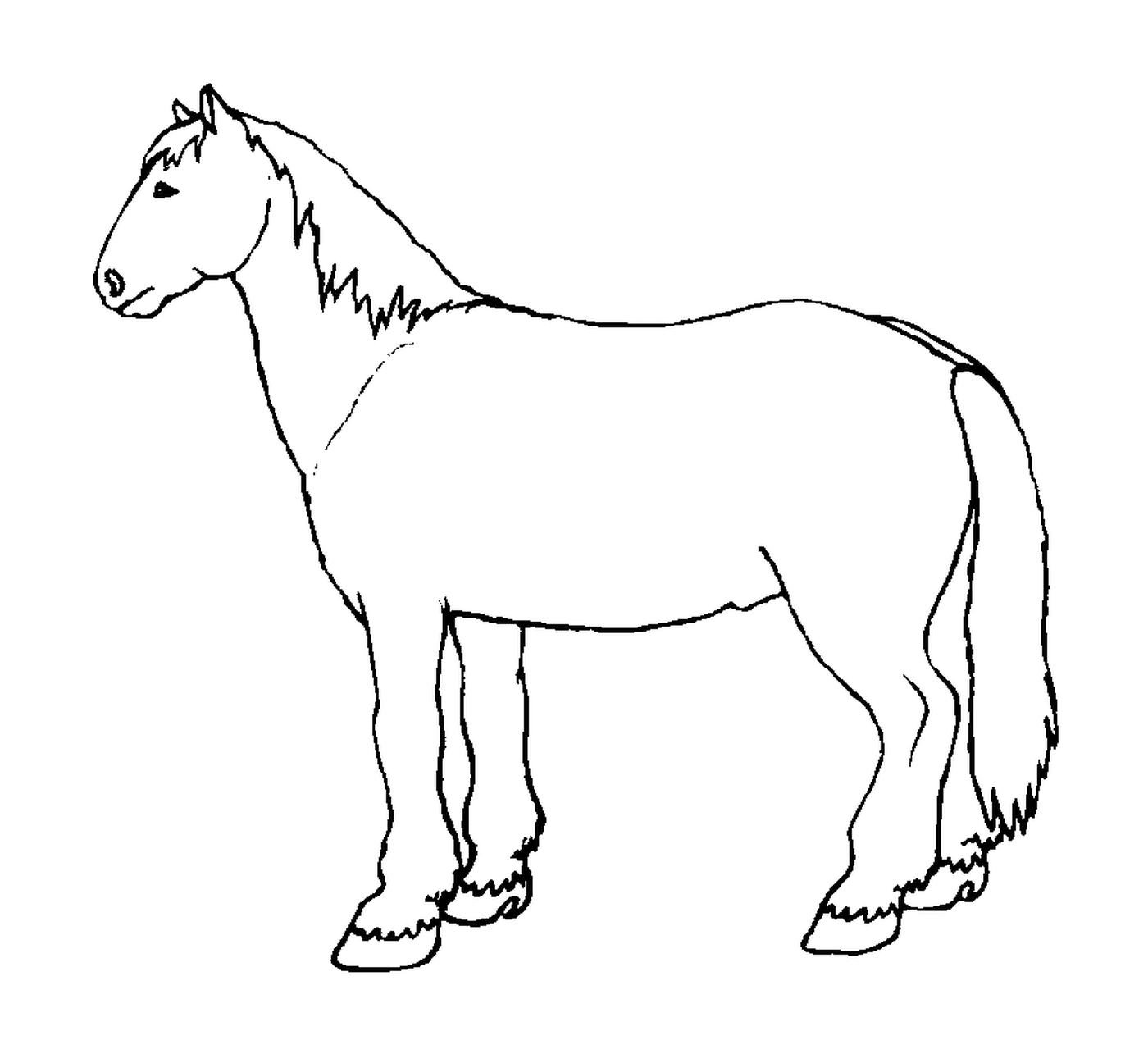 coloriage un cheval de trait