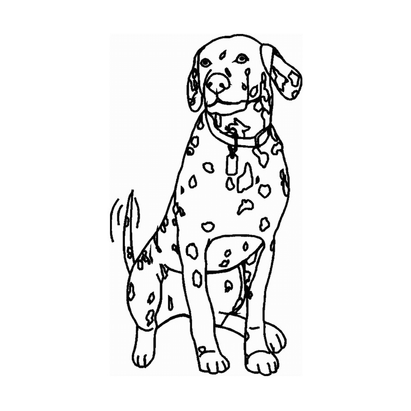 coloriage chien dalmatien