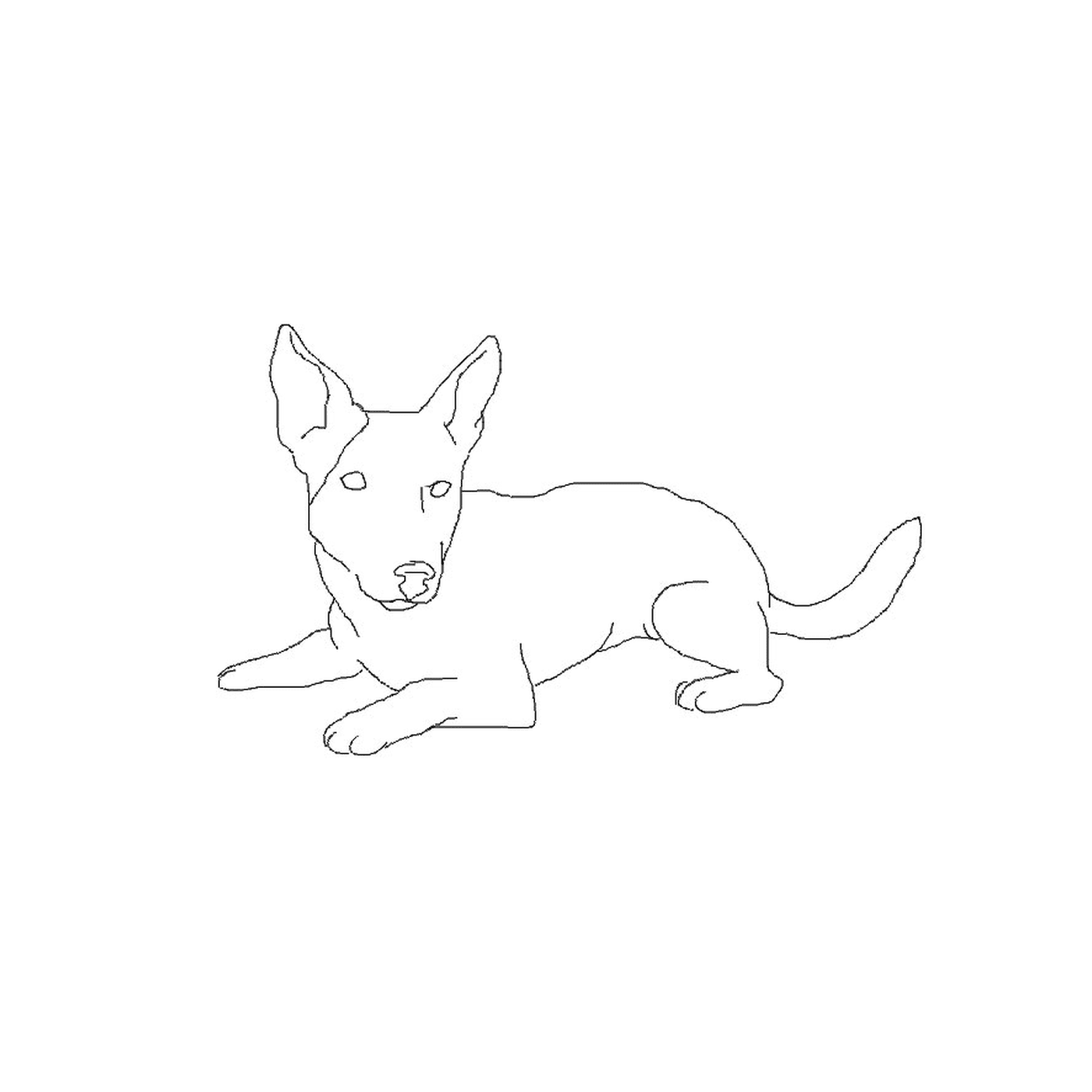coloriage chiot jack russel