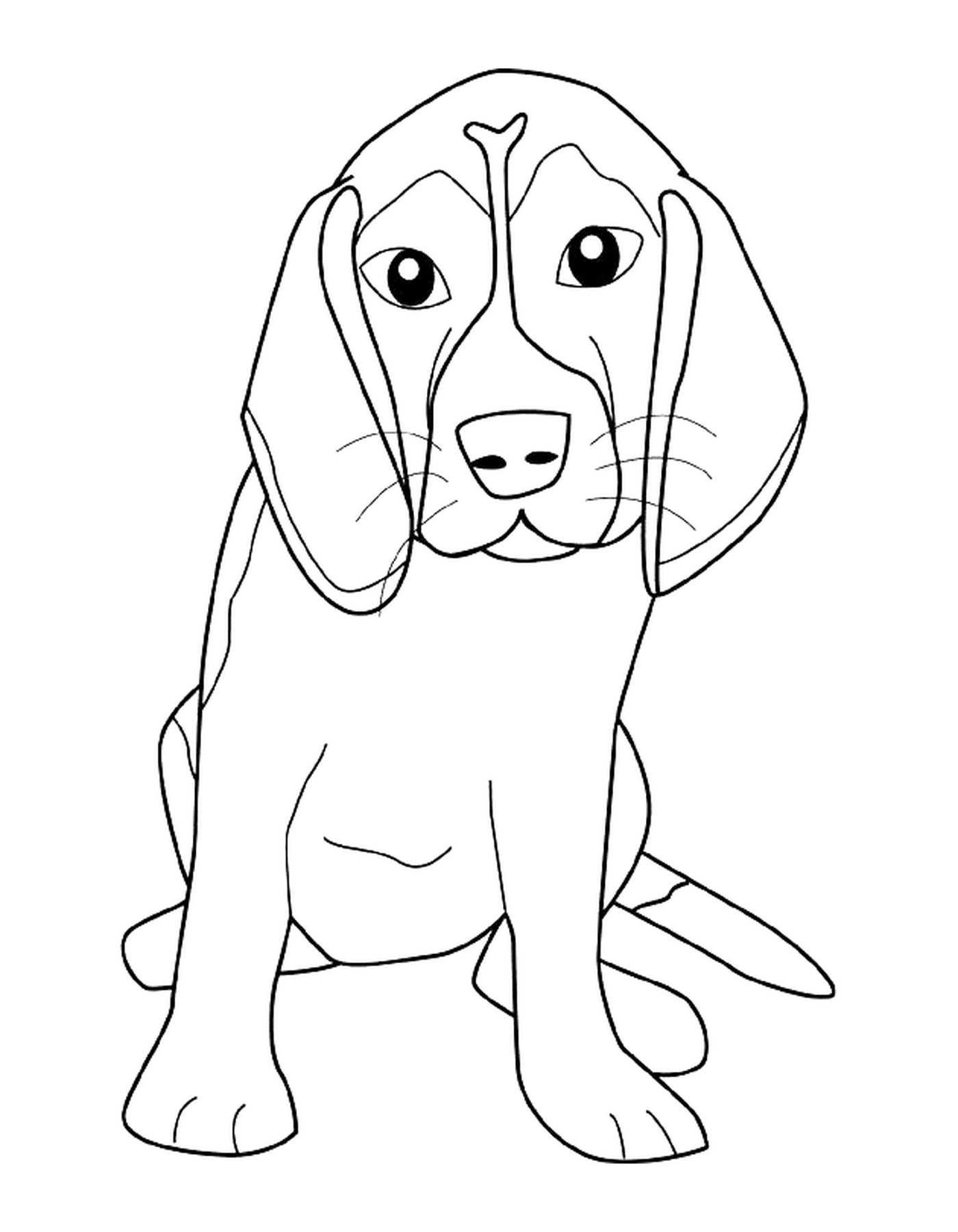 dessin chien beagle