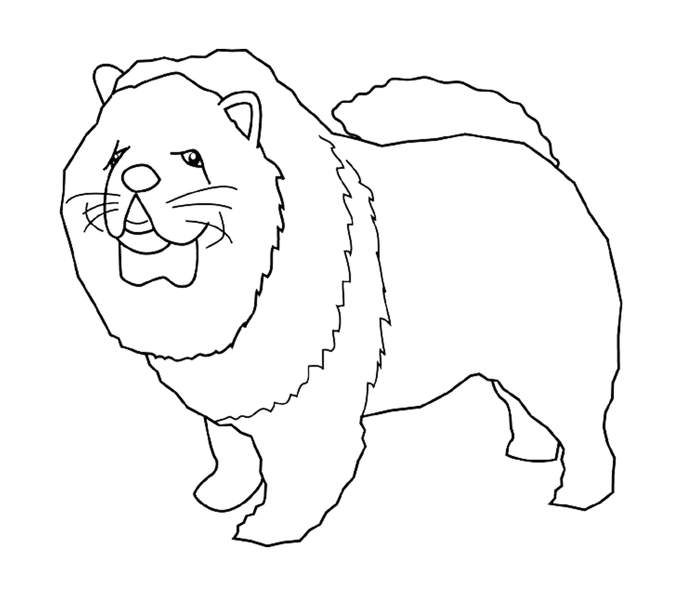 dessin chien chow chow