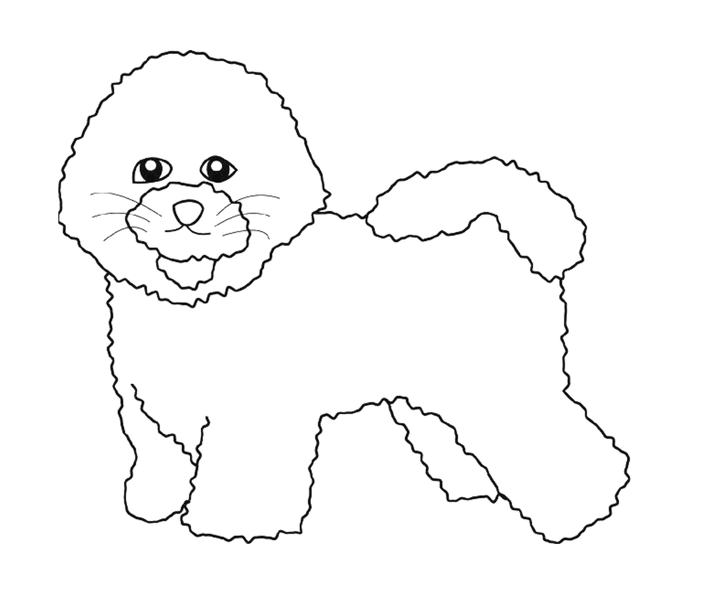coloriage dessin chien bichon frise