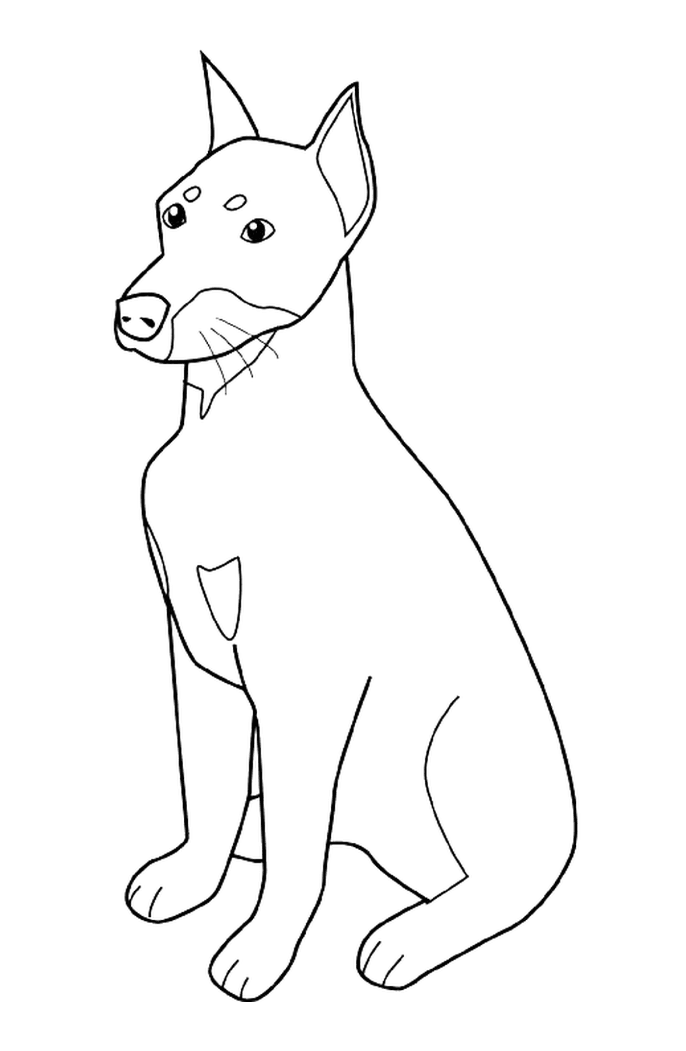 coloriage dessin chien doberman assis