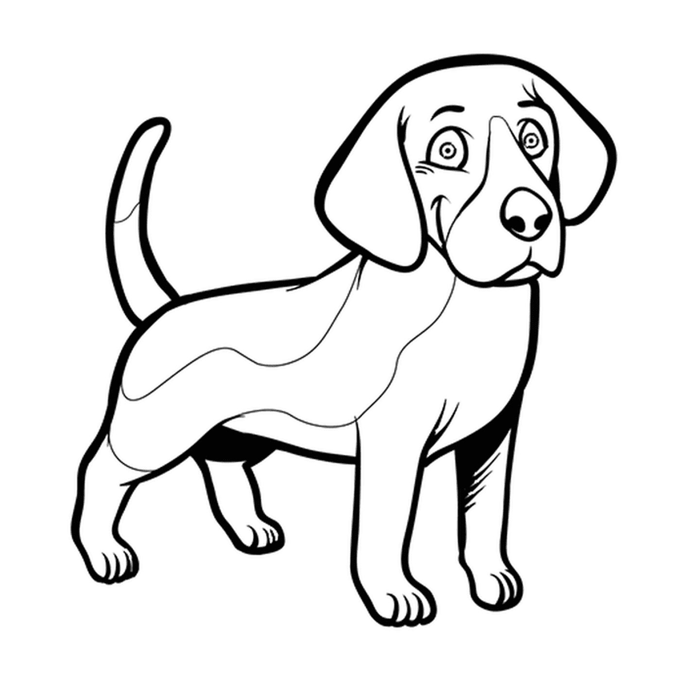 coloriage chien beagle souriant