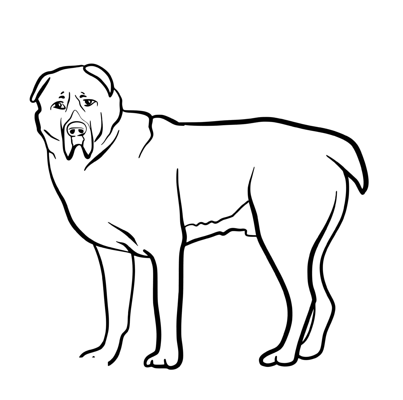 coloriage Central Asian Shepherd Dog