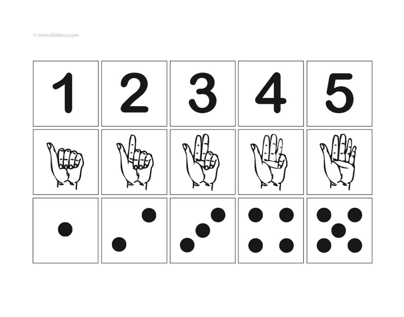 coloriage chiffre 1 a 5 avec illustration main chiffre points