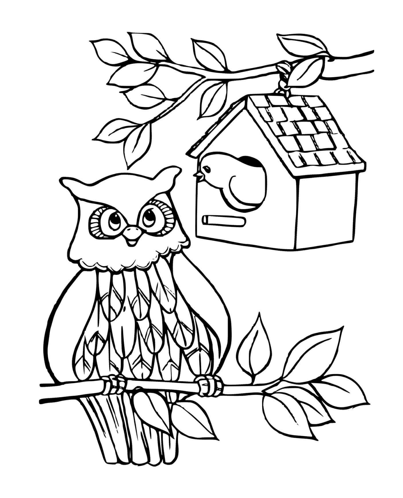 coloriage une cabane a oiseaux et un chouette